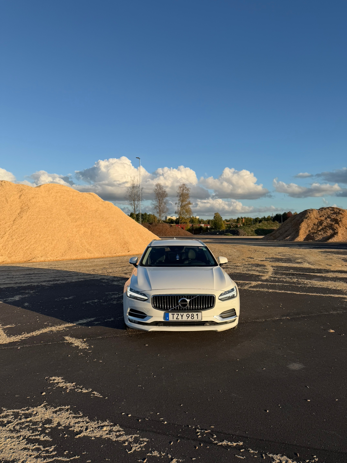 Volvo V90 D3 Geartronic 2018, bild 3/10