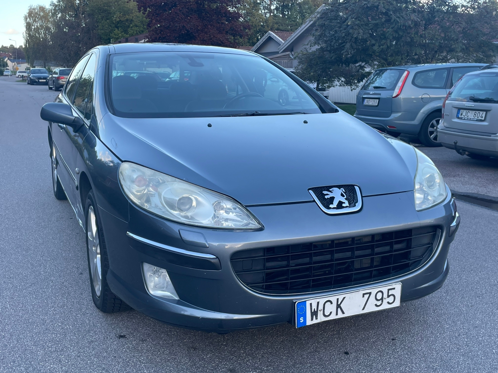 Peugeot 407 2.0/ Besiktigad till 2027-03 2004, bild 2/7