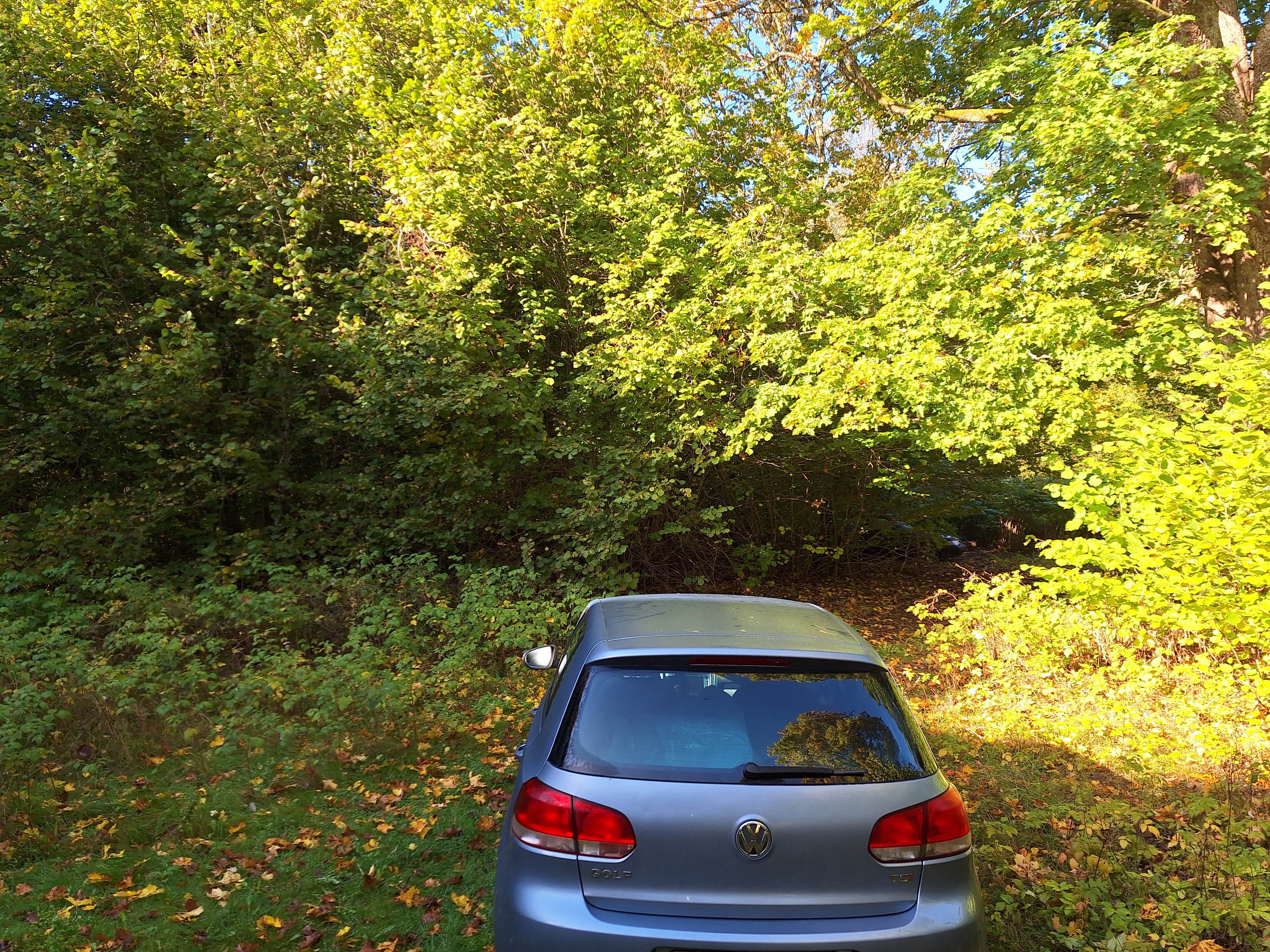 Volkswagen Golf 2010, bild 4/4