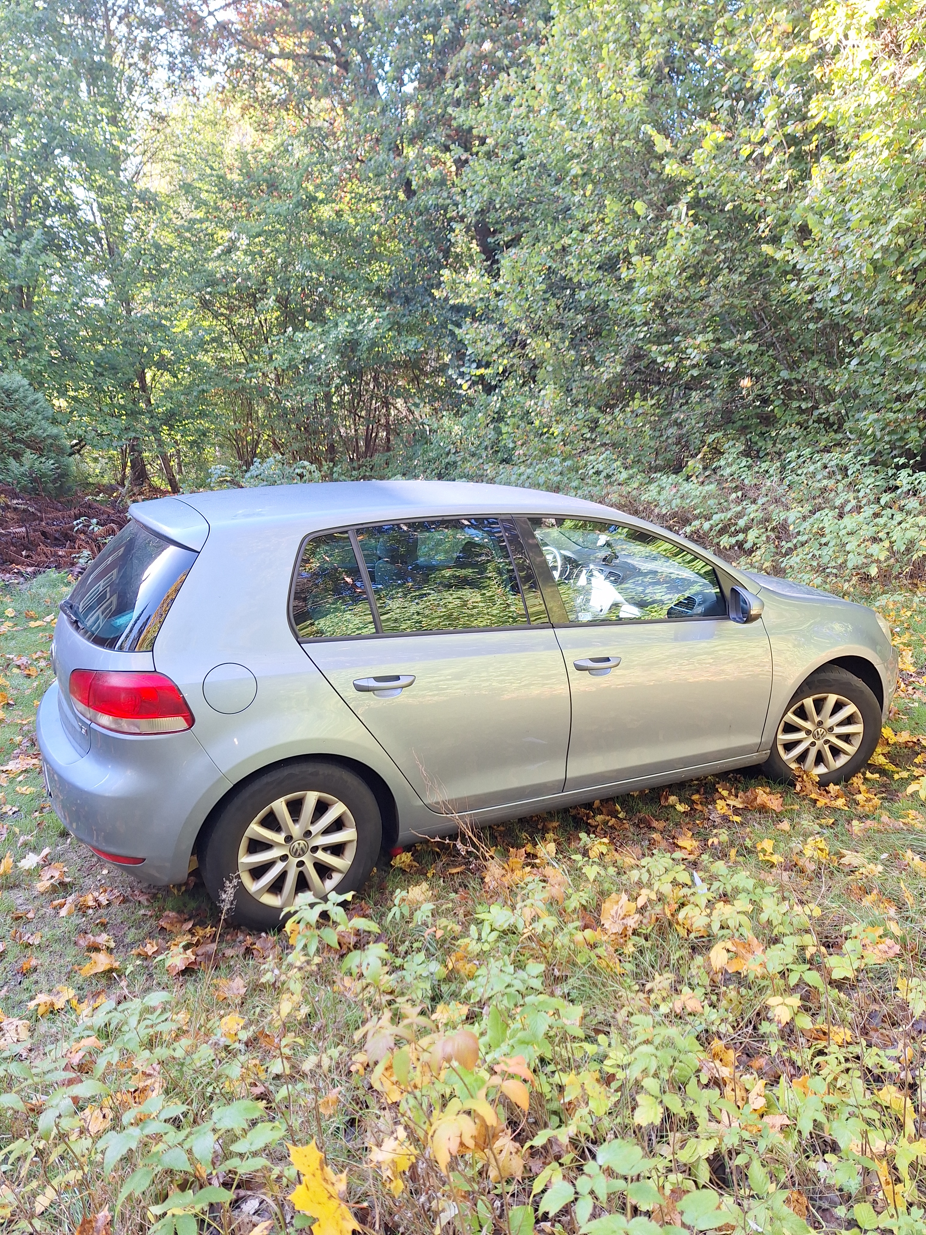 Volkswagen Golf 2010, bild 2/4