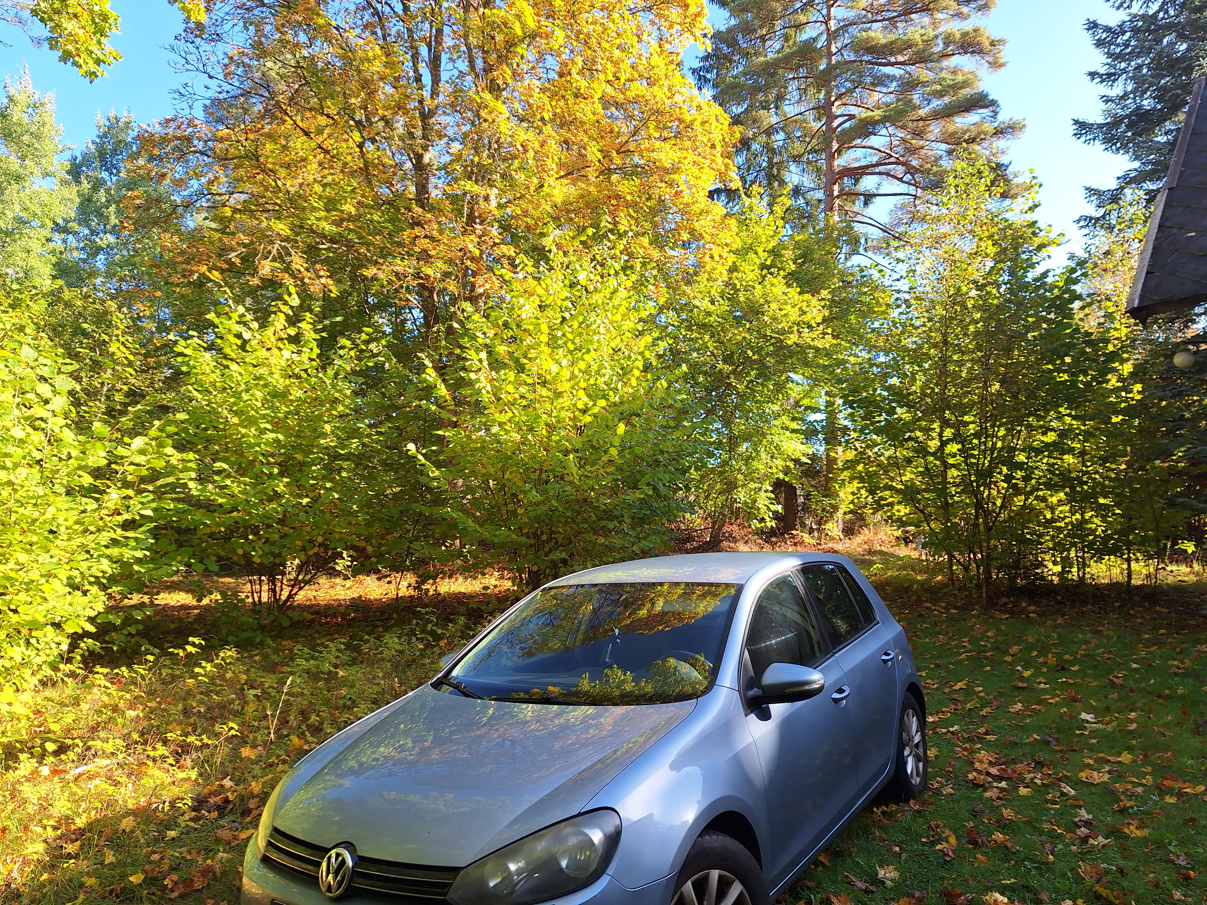 Volkswagen Golf 2010, bild 3/4