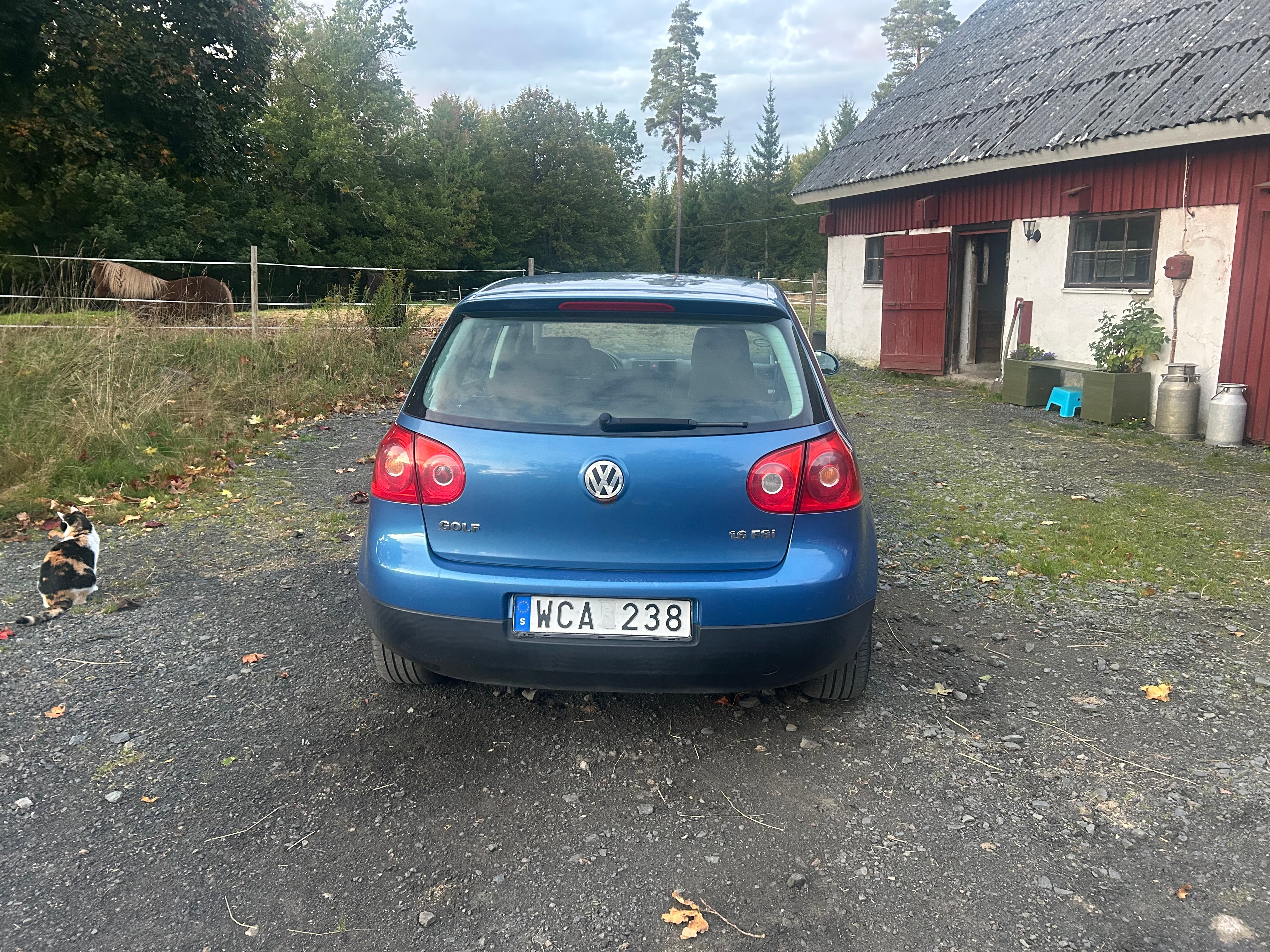 Volkswagen Golf 2004, bild 3/6