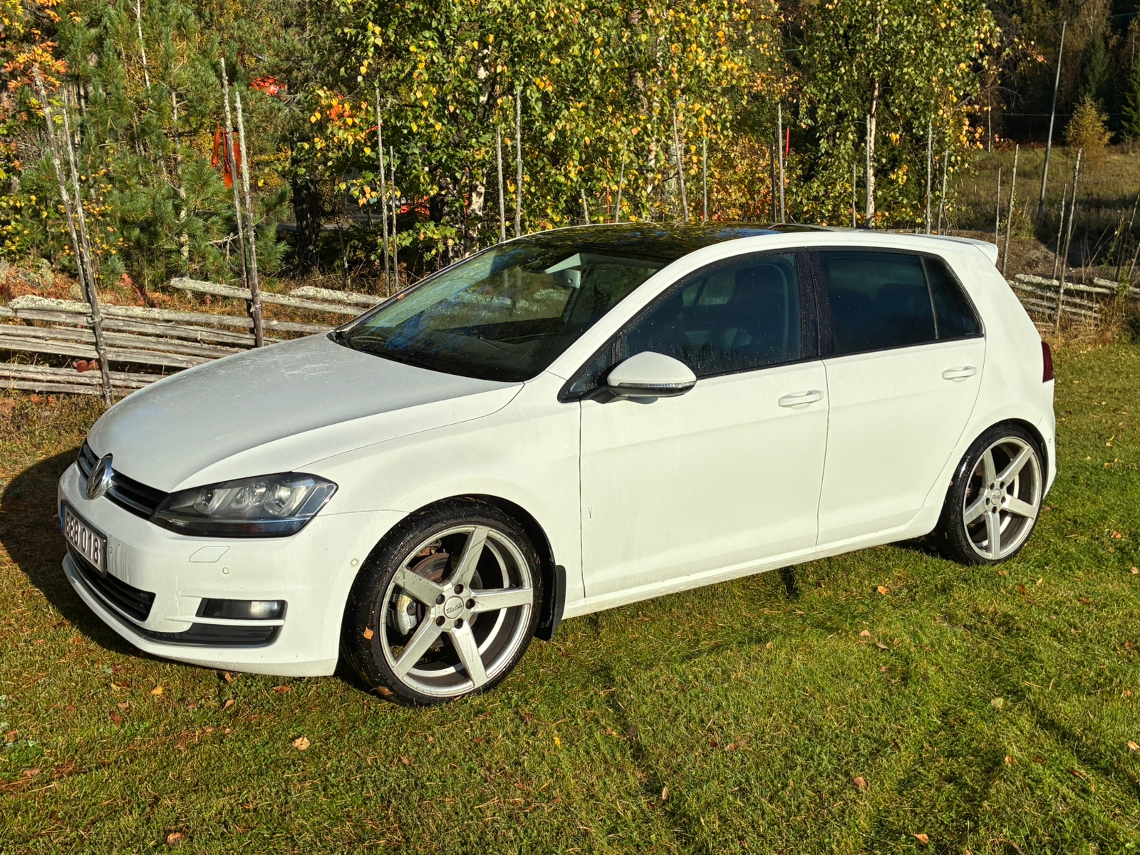 Volkswagen Golf IV R 2.0 TDI 150hk 2014, bild 4/5
