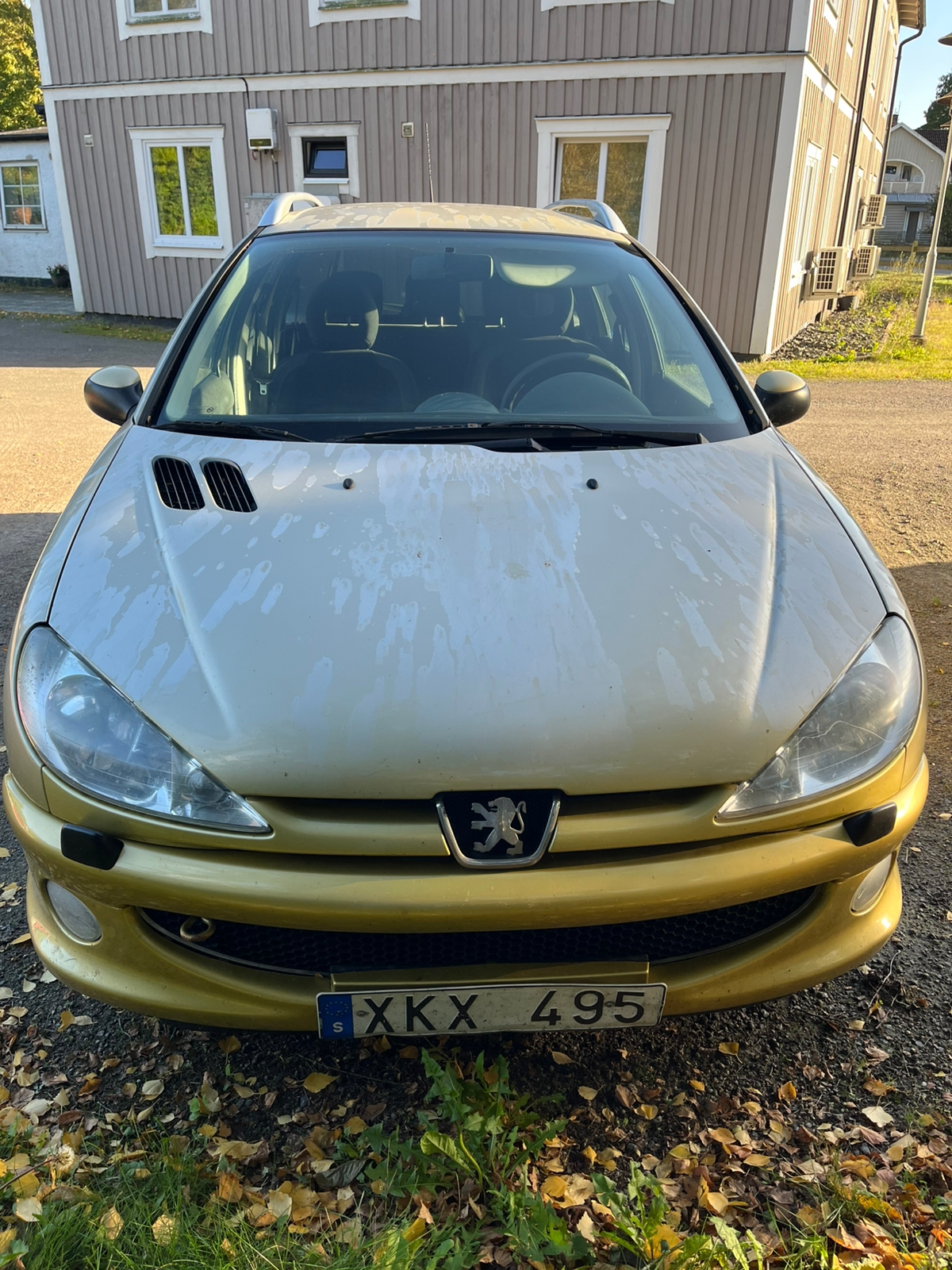 Peugeot 206 SW 1.4 Manuell 2006, bild 3/5