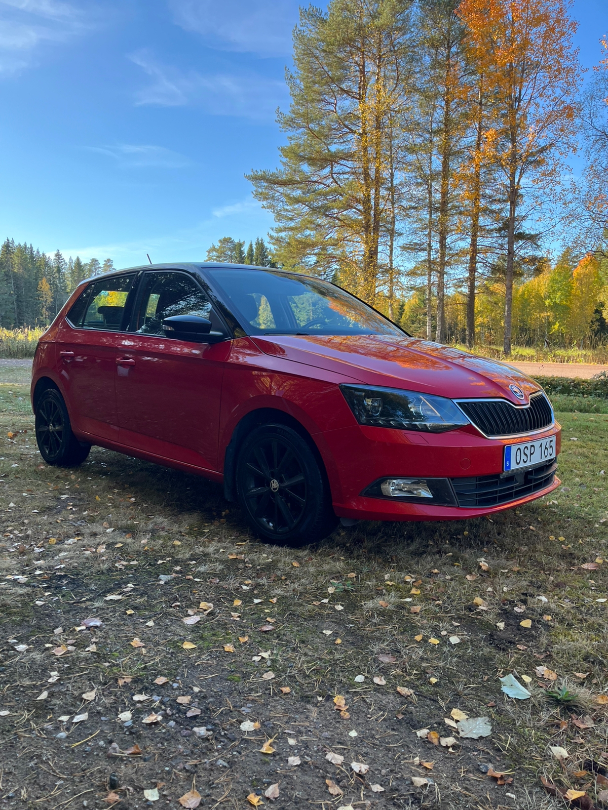Skoda Fabia 1.0 TSI Manuell 2018, bild 5/7