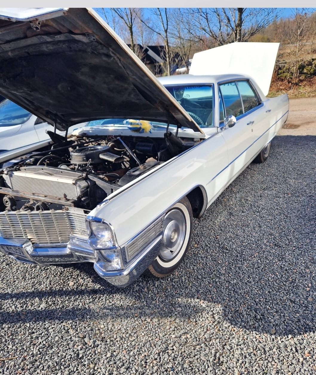 Cadillac Hardtop 1965, bild 2/5