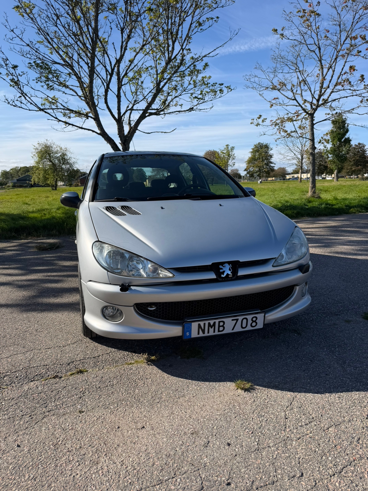 Peugeot 206 5-dörrar 1.4 Manuell 2007, bild 2/3