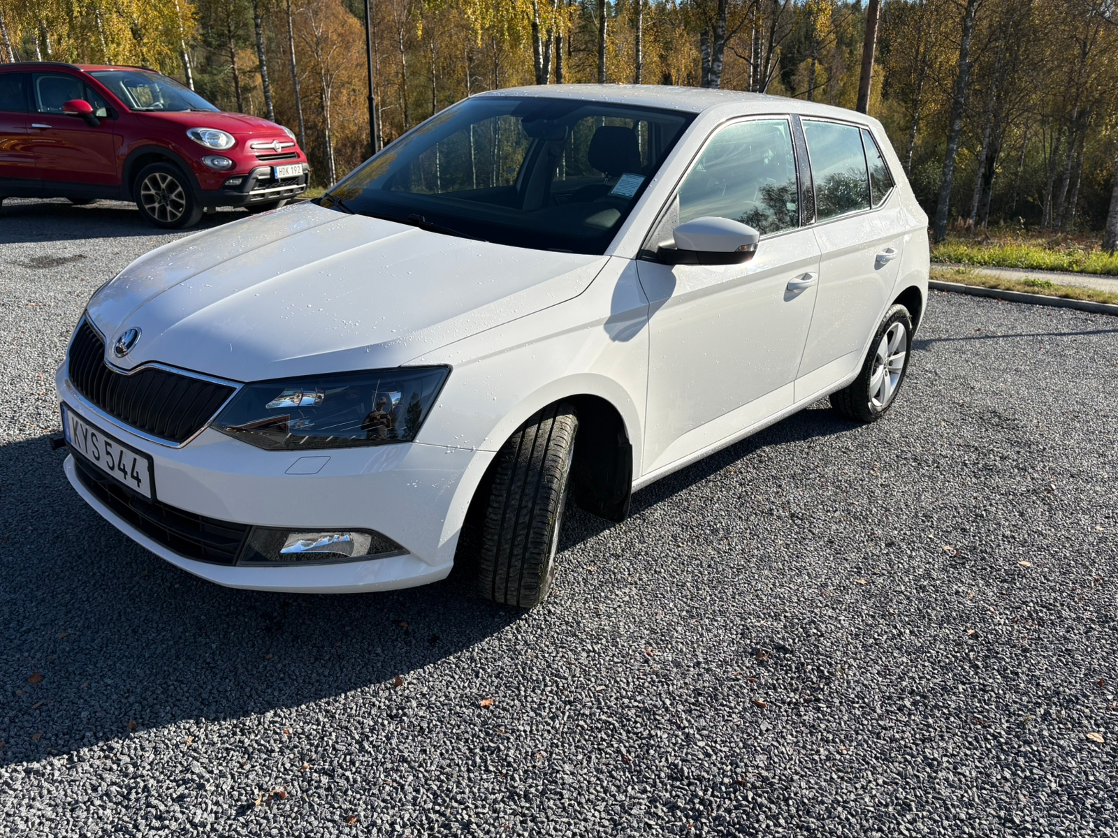 Skoda Fabia 1.0 TSI DSG Sekventiell 2018, bild 5/5