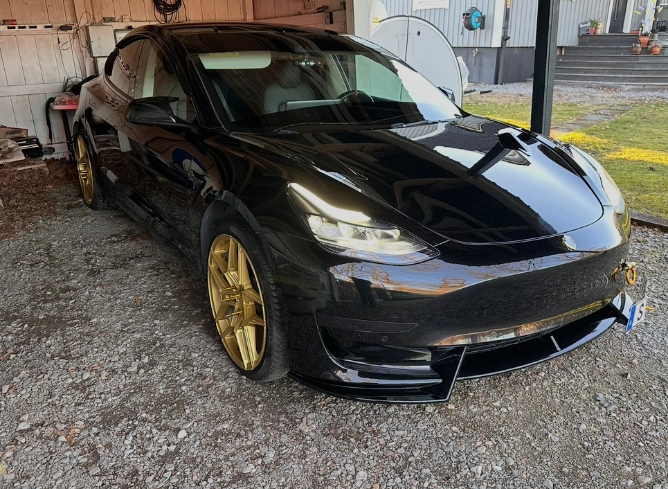 Tesla Model 3 Standard Range Plus 2021, bild 2/10