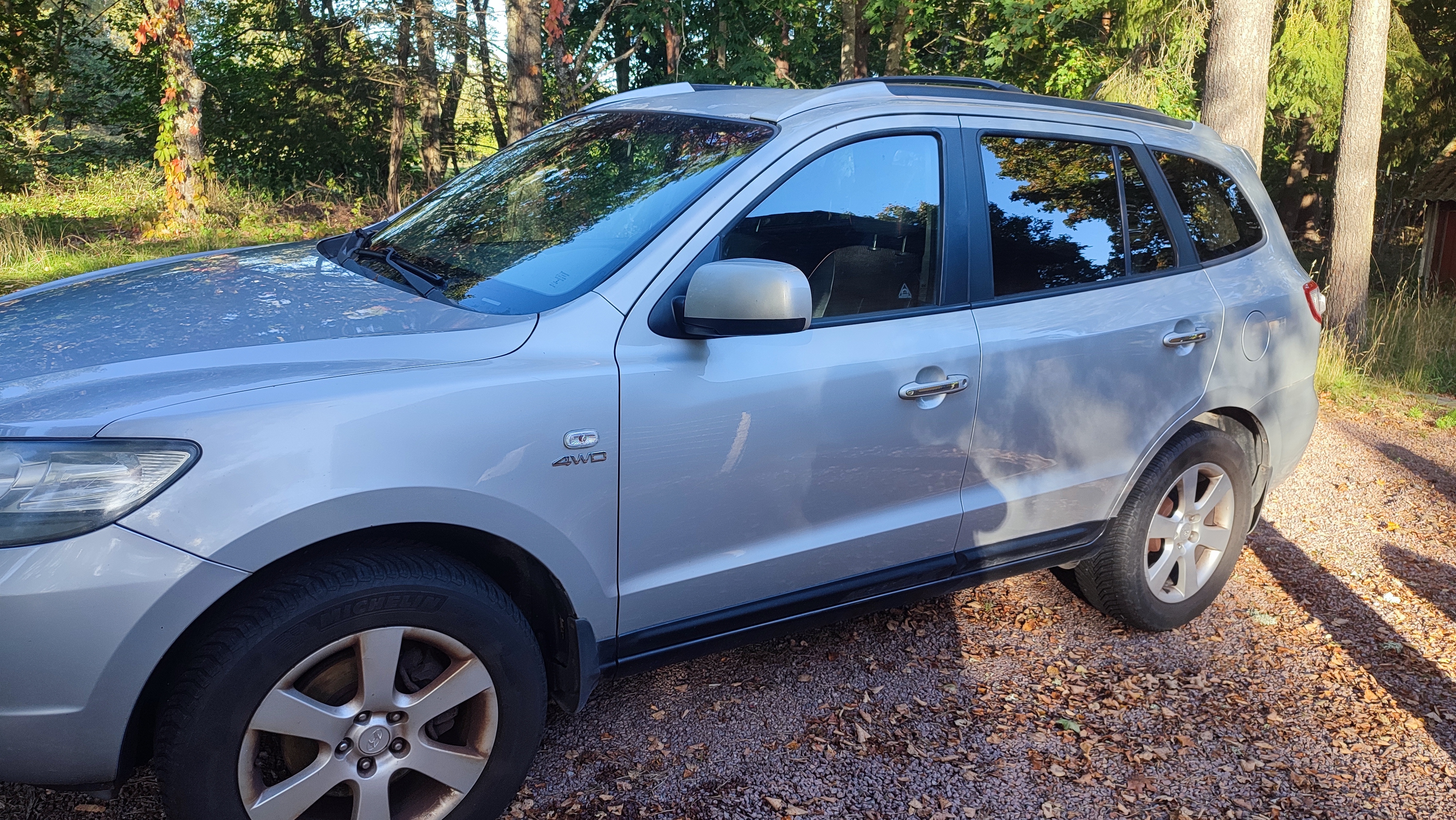 Hyundai Santa Fe 2007, bild 7/10