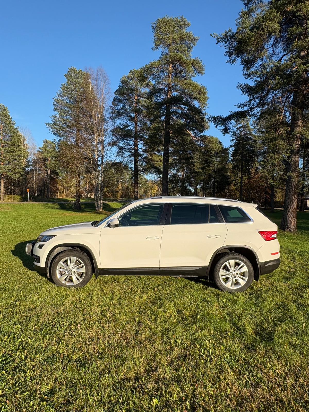 Skoda Kodiaq 2019, bild 2/8