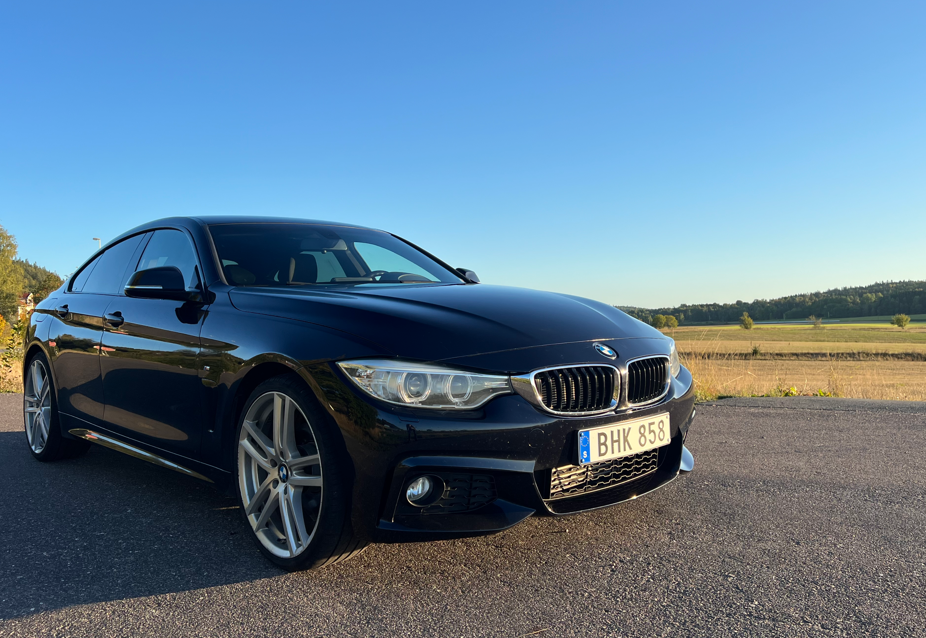 BMW 420 d Gran Coupé Steptronic M-Sport 2015, bild 4/8