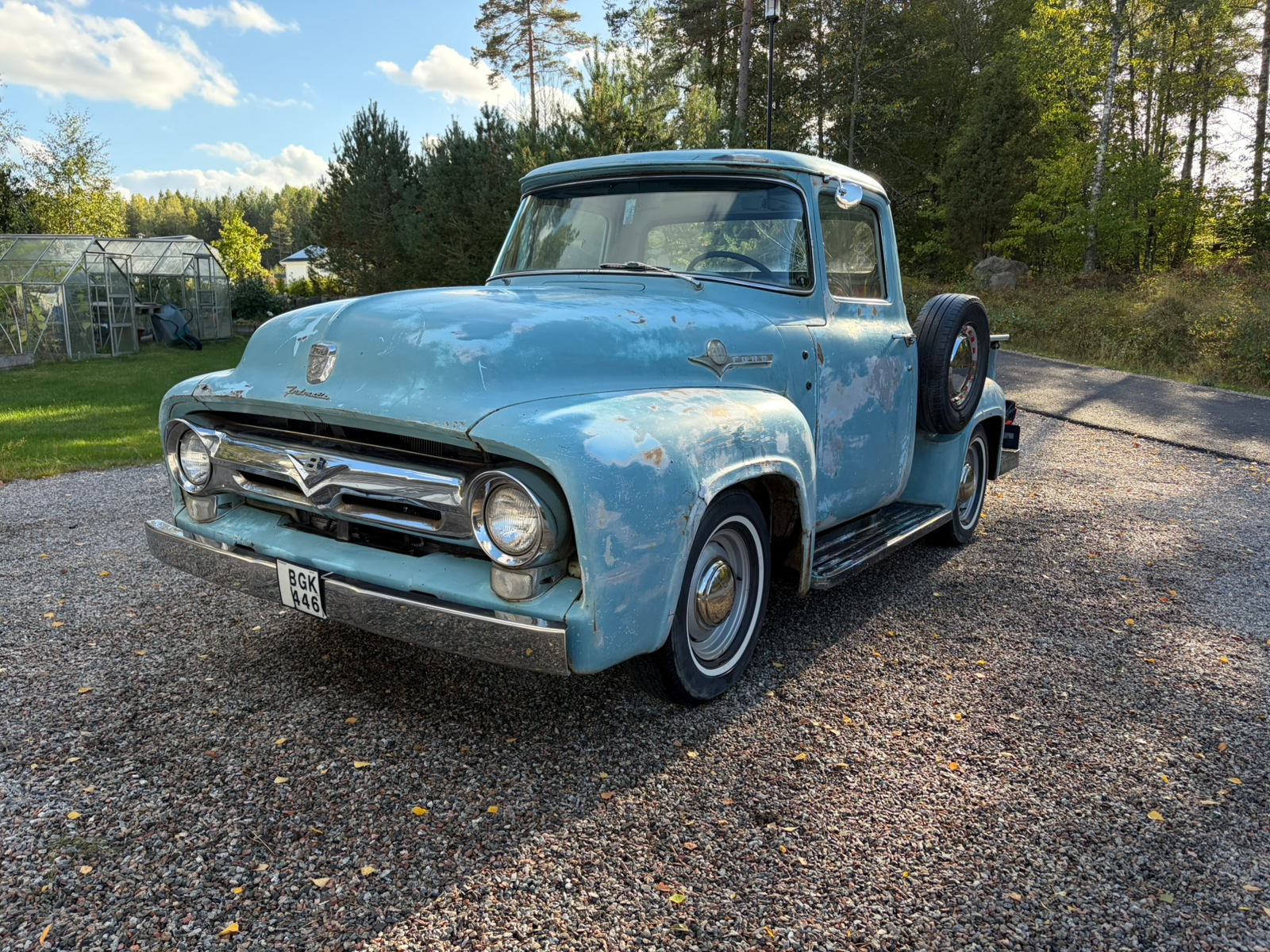 Ford F100