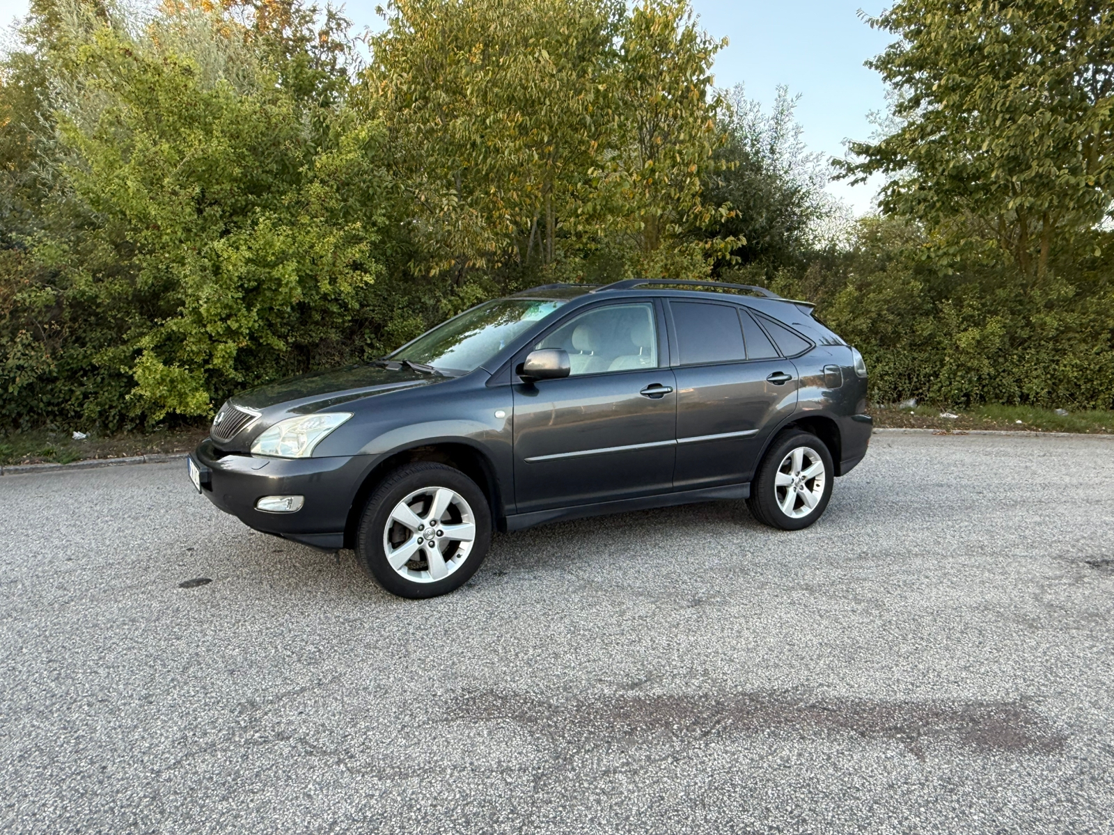 Lexus RX 300 AWD 3.0 V6 AWD Automatisk 2005, photo 3/6