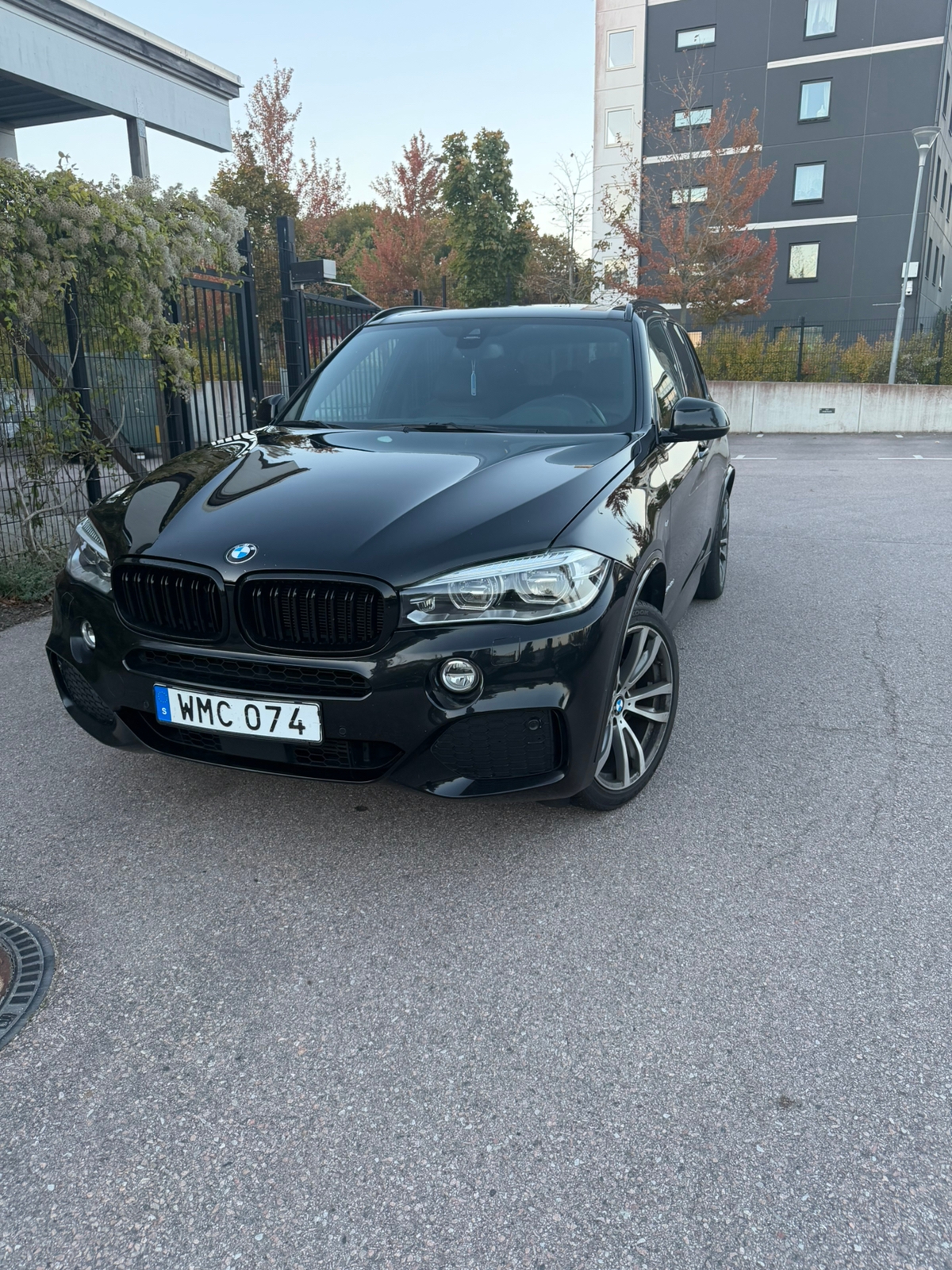 BMW X5 2016, bild 6/10