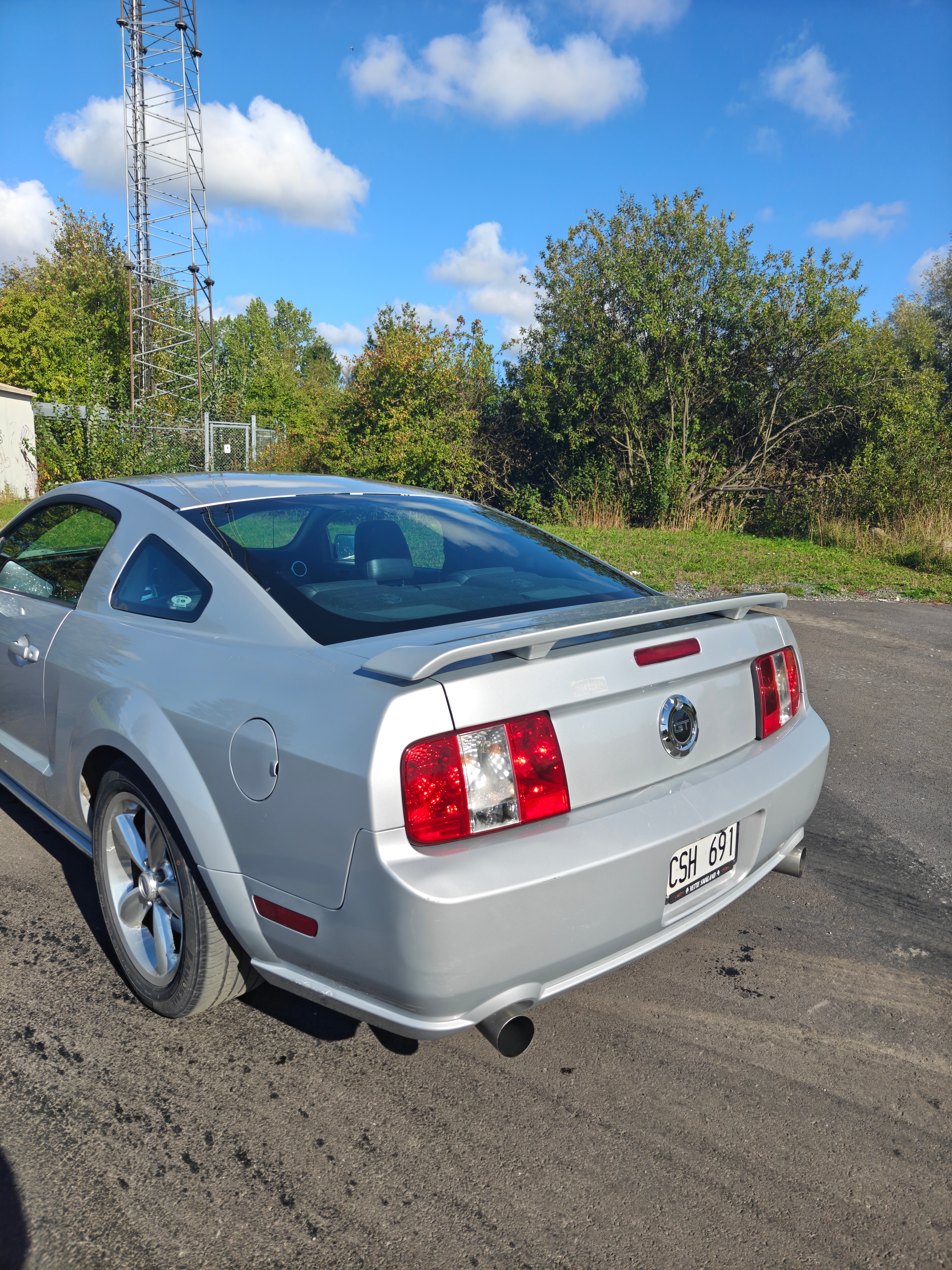 Ford Mustang GT Automatisk 2006, bild 3/5