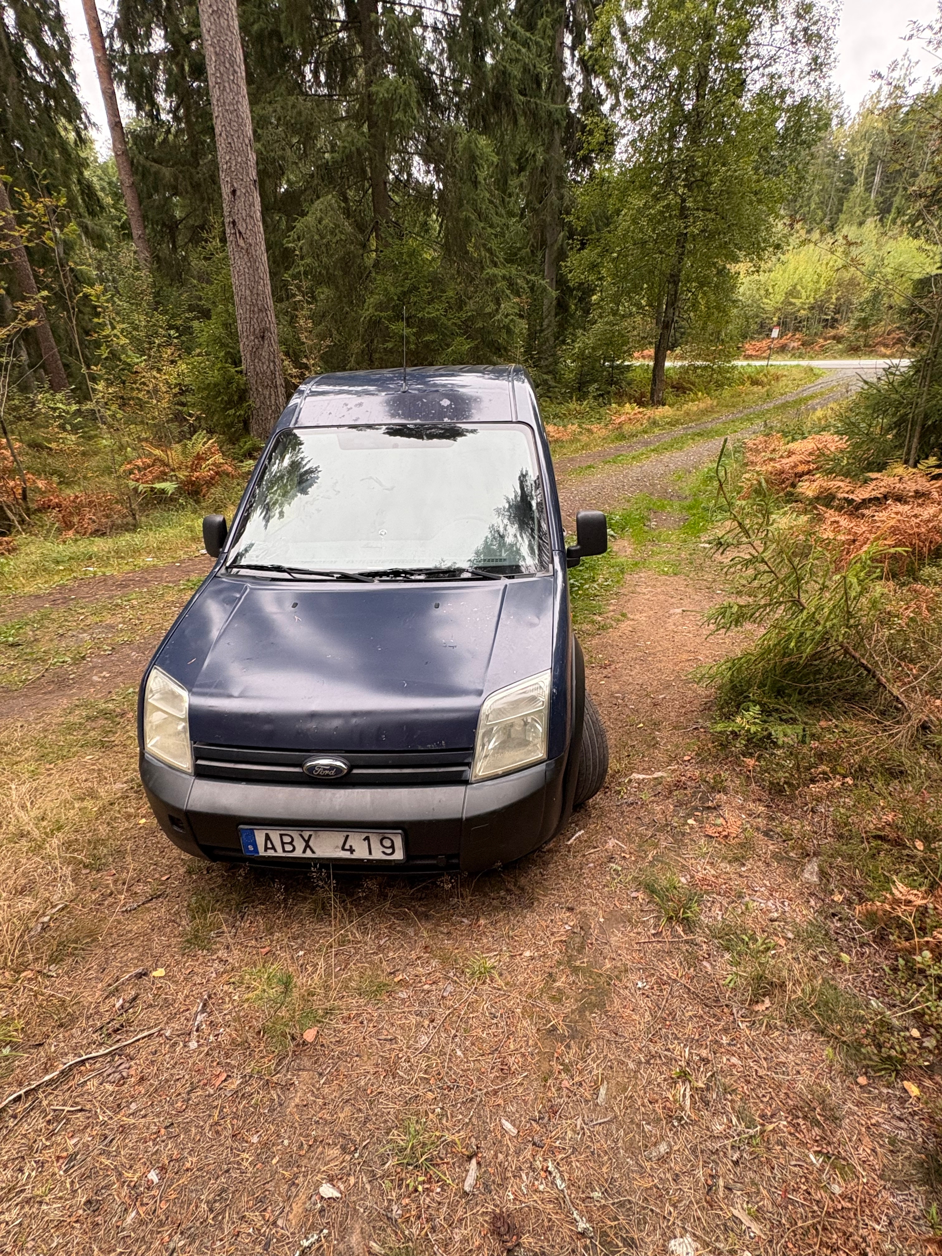 Ford Transit Connect 2007, photo 2/6