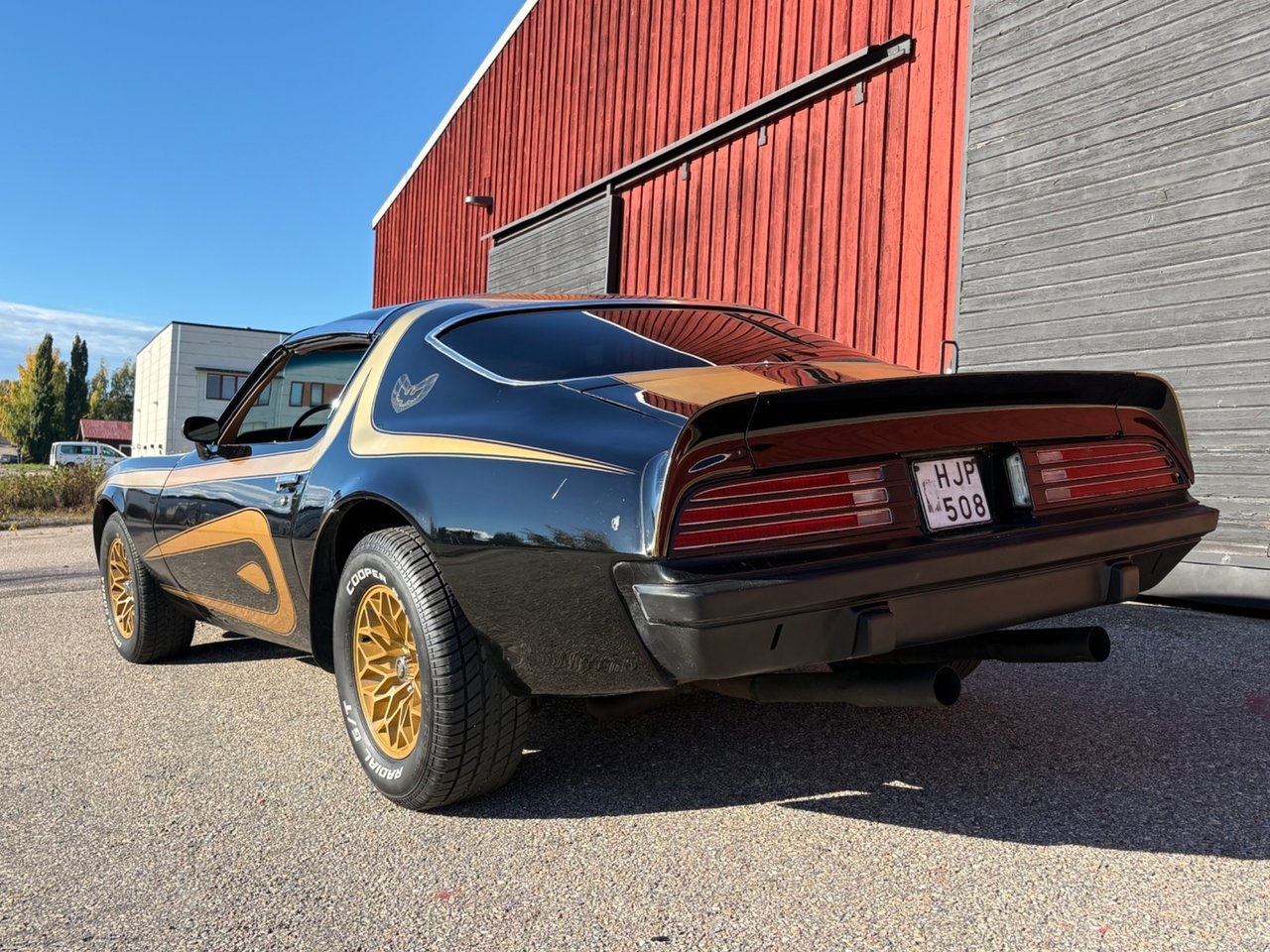 Pontiac Firebird 1974, bild 3/10