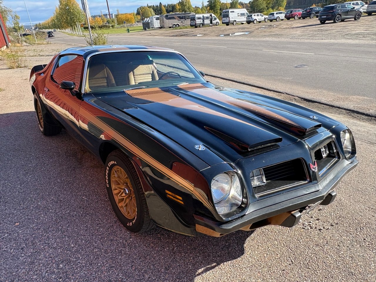 Pontiac Firebird 1974, bild 6/10