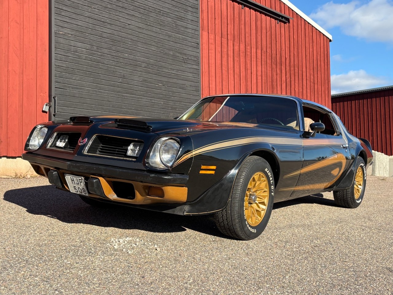 Pontiac Firebird 1974, bild 2/10