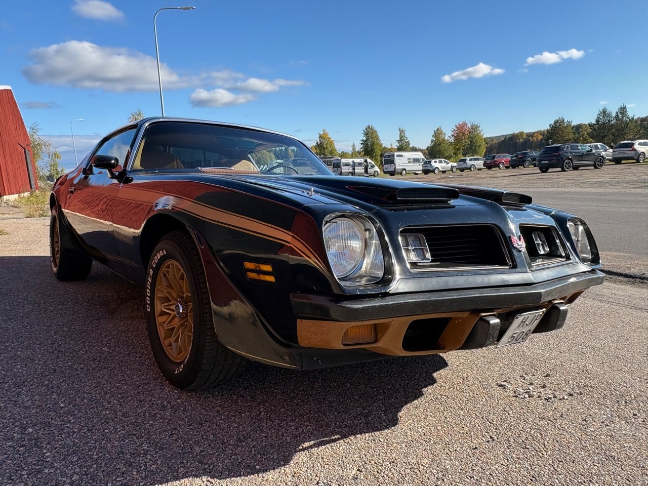 Pontiac Firebird 1974, bild 7/10