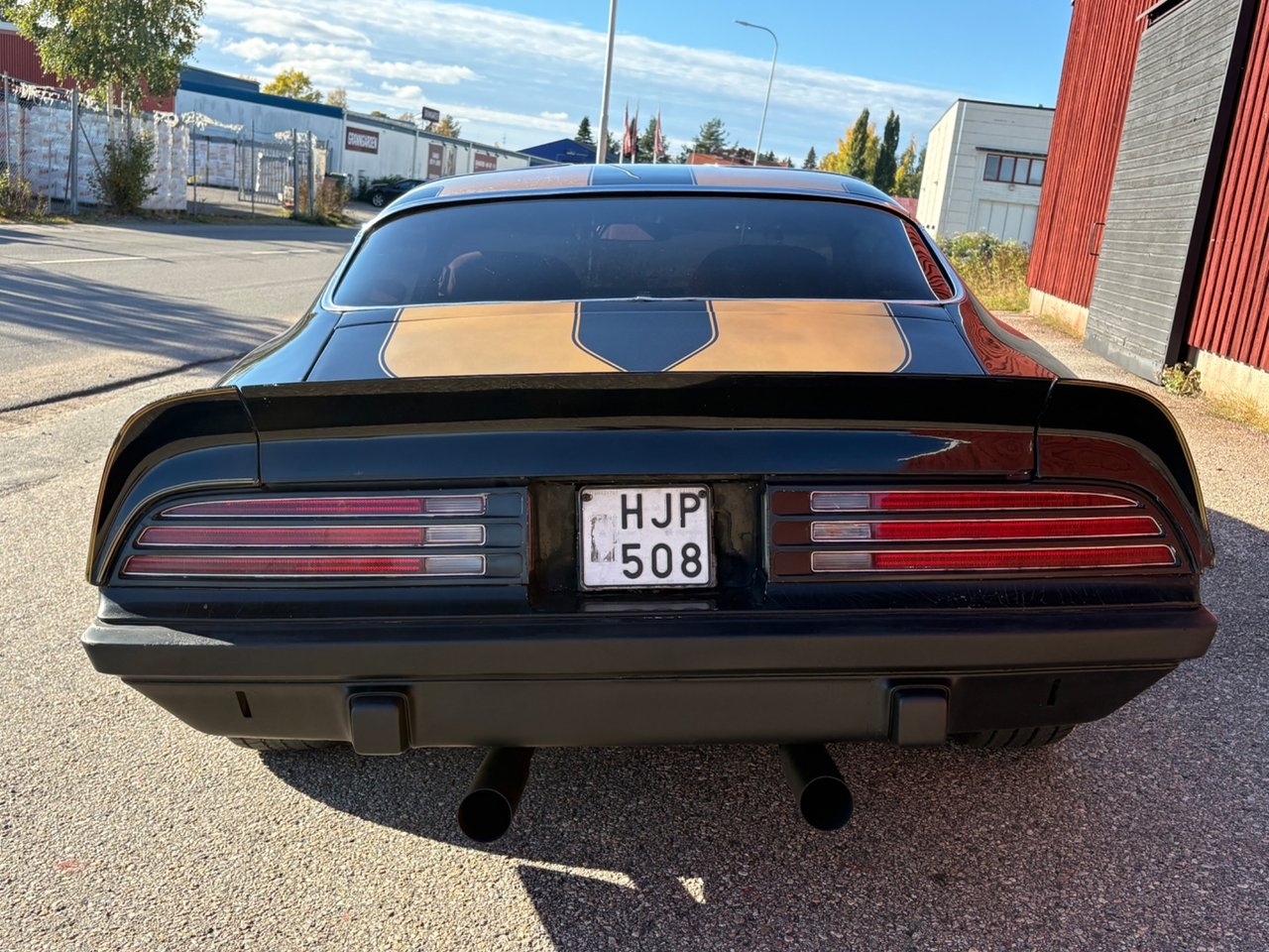 Pontiac Firebird 1974, bild 4/10