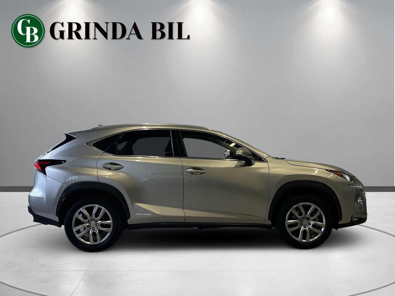 Lexus NX 2015, bild 4/10