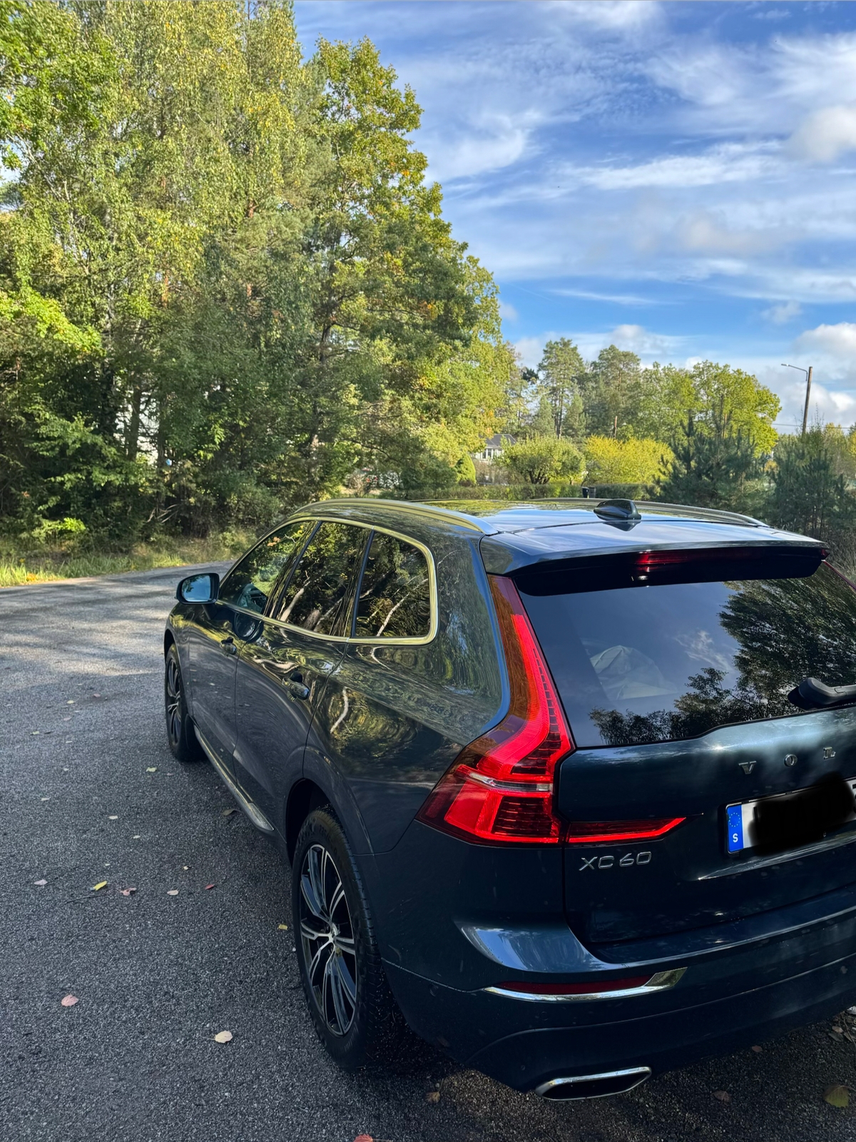 Volvo XC60 T8 Twin Engine AWD Geartronic 2019, bild 4/6