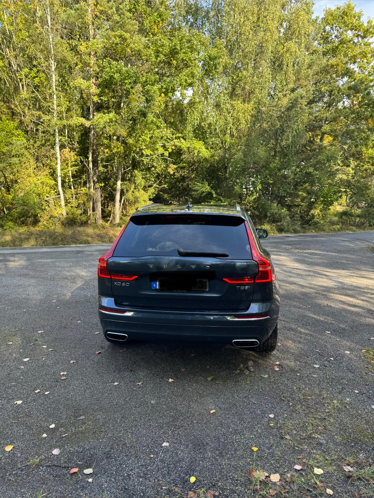 Volvo XC60 T8 Twin Engine AWD Geartronic 2019, bild 5/6