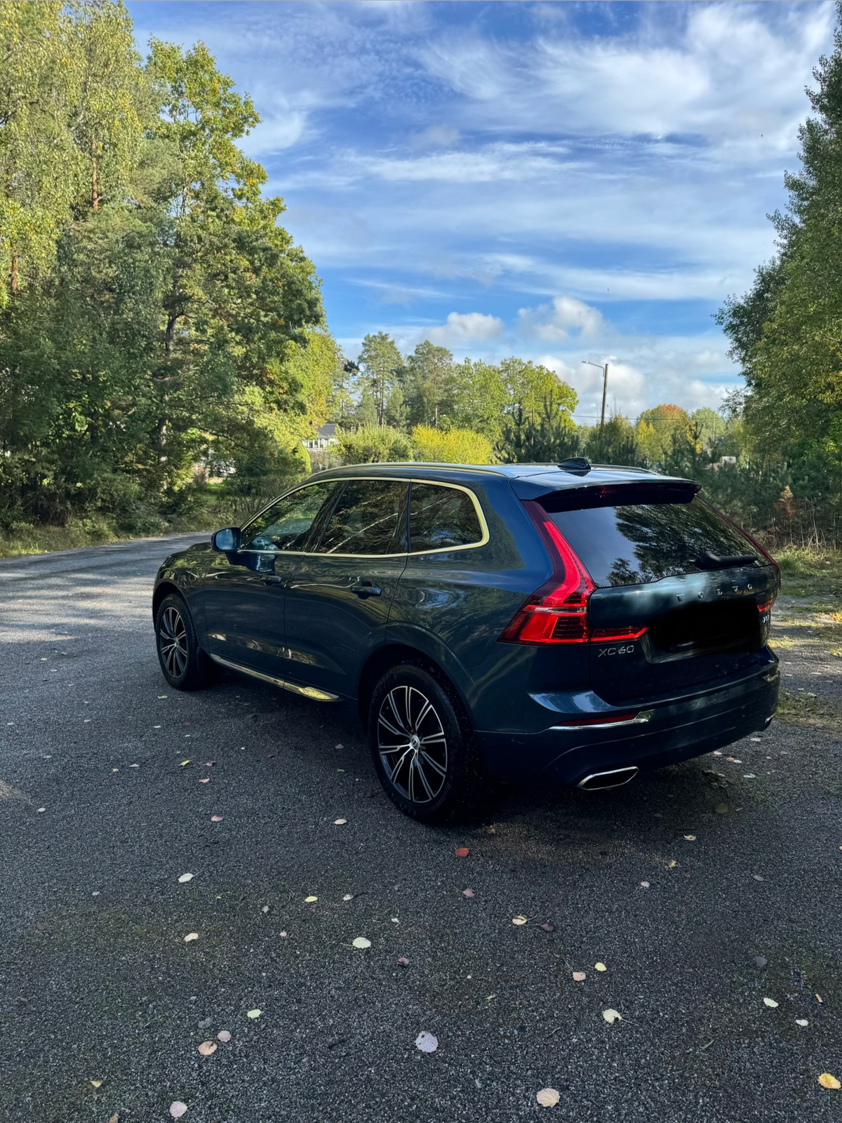 Volvo XC60 T8 Twin Engine AWD Geartronic 2019, bild 3/6