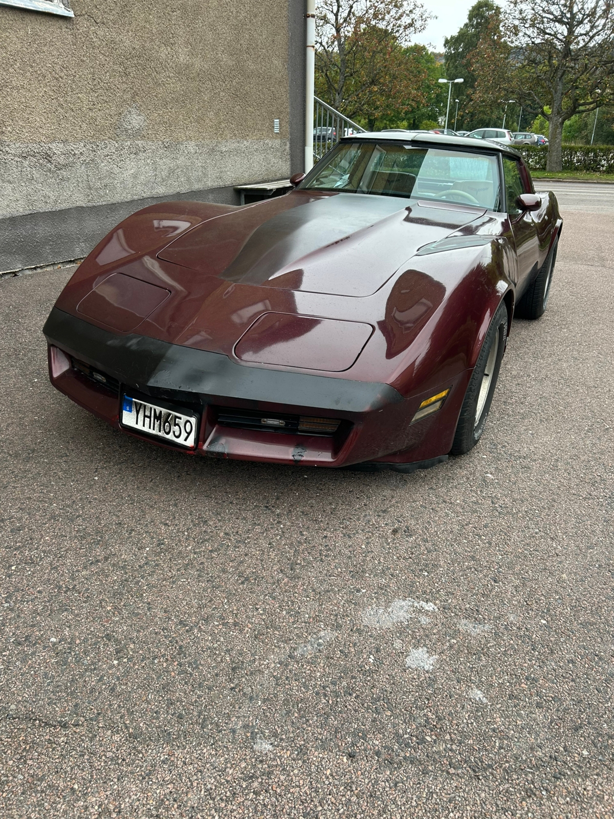 Chevrolet Corvette 5.7 V8 Hydra-Matic 1980, kuva 2/9