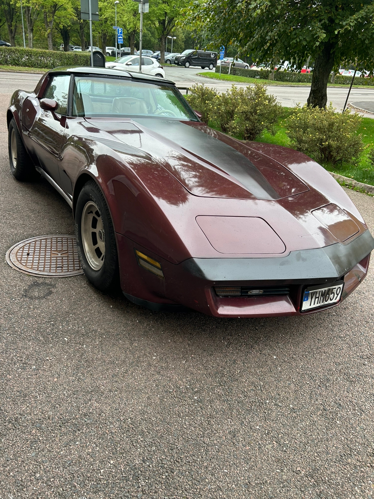 Chevrolet Corvette 5.7 V8 Hydra-Matic 1980, kuva 3/9