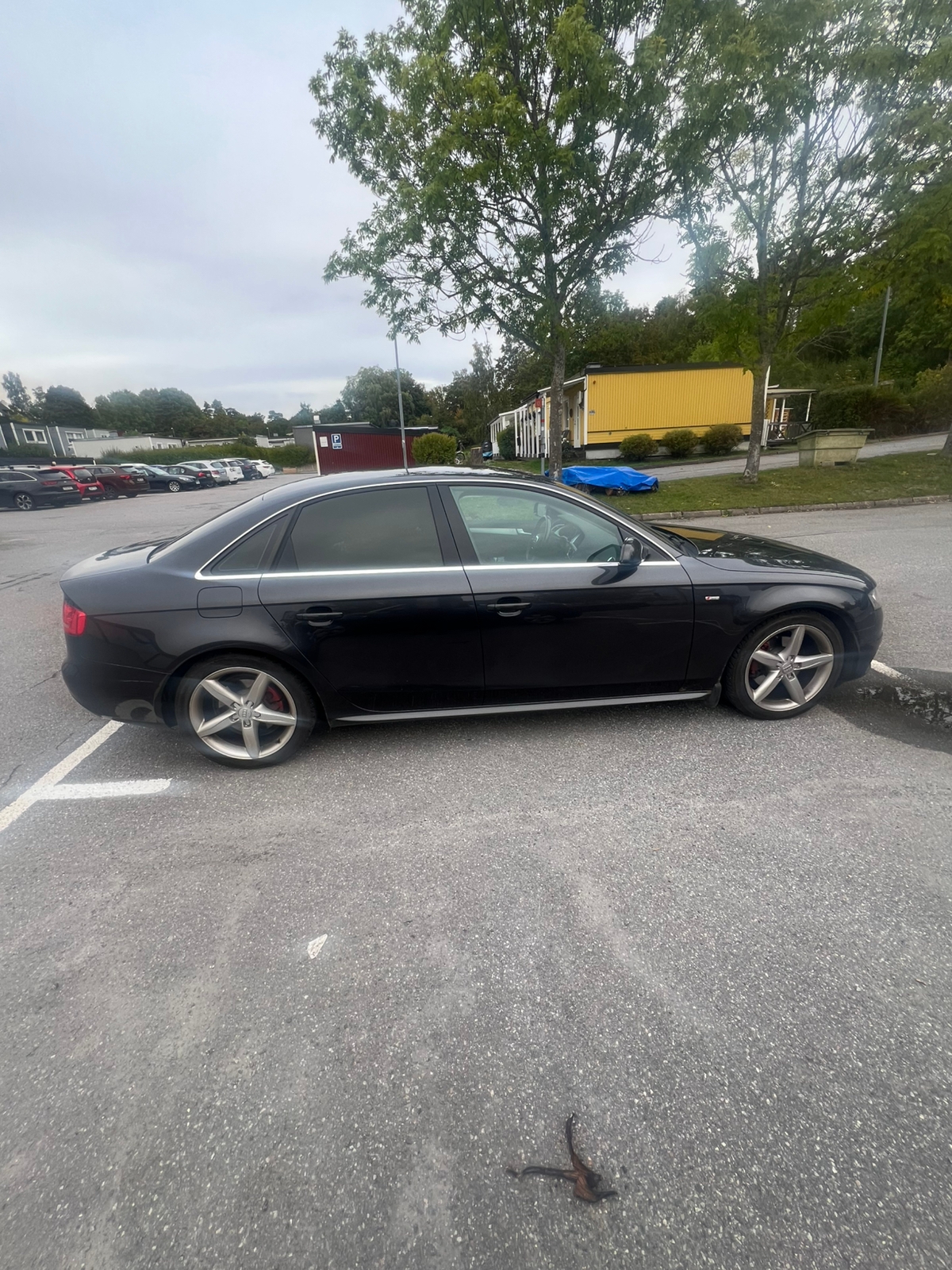 Audi A4 Sedan 2.0 TFSI E85 Manuell 2010, bild 7/10