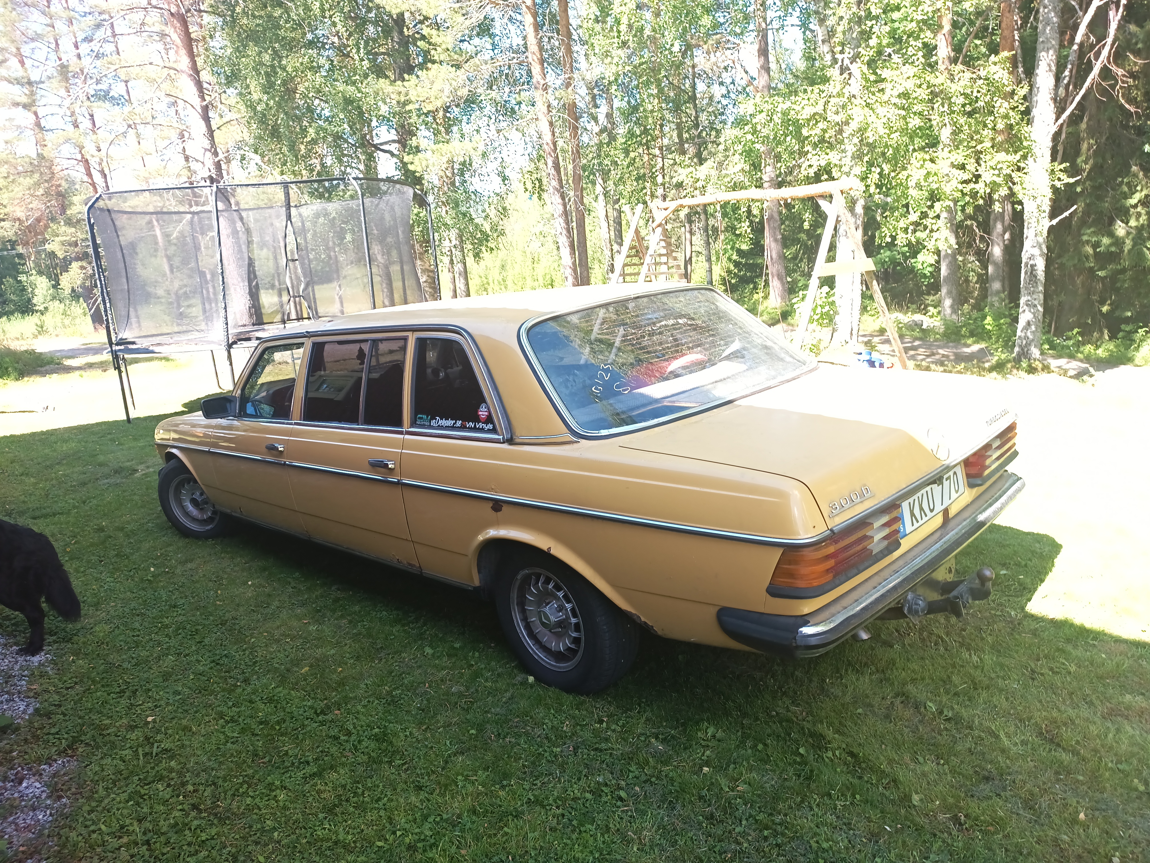 Mercedes-Benz 300 D Lang Manuell 1979, bild 3/5