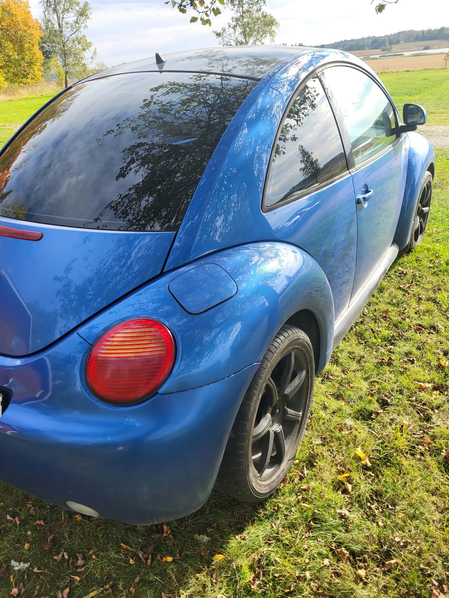 Volkswagen New Beetle 1.6 Manuell 2000, bild 8/8