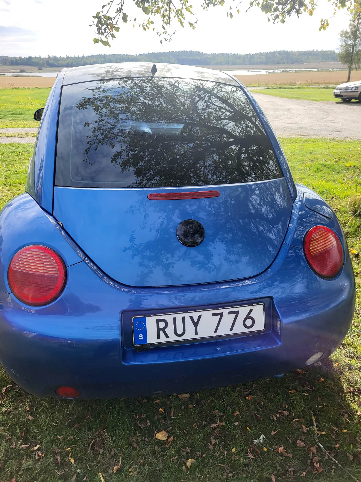 Volkswagen New Beetle 1.6 Manuell 2000, bild 2/8