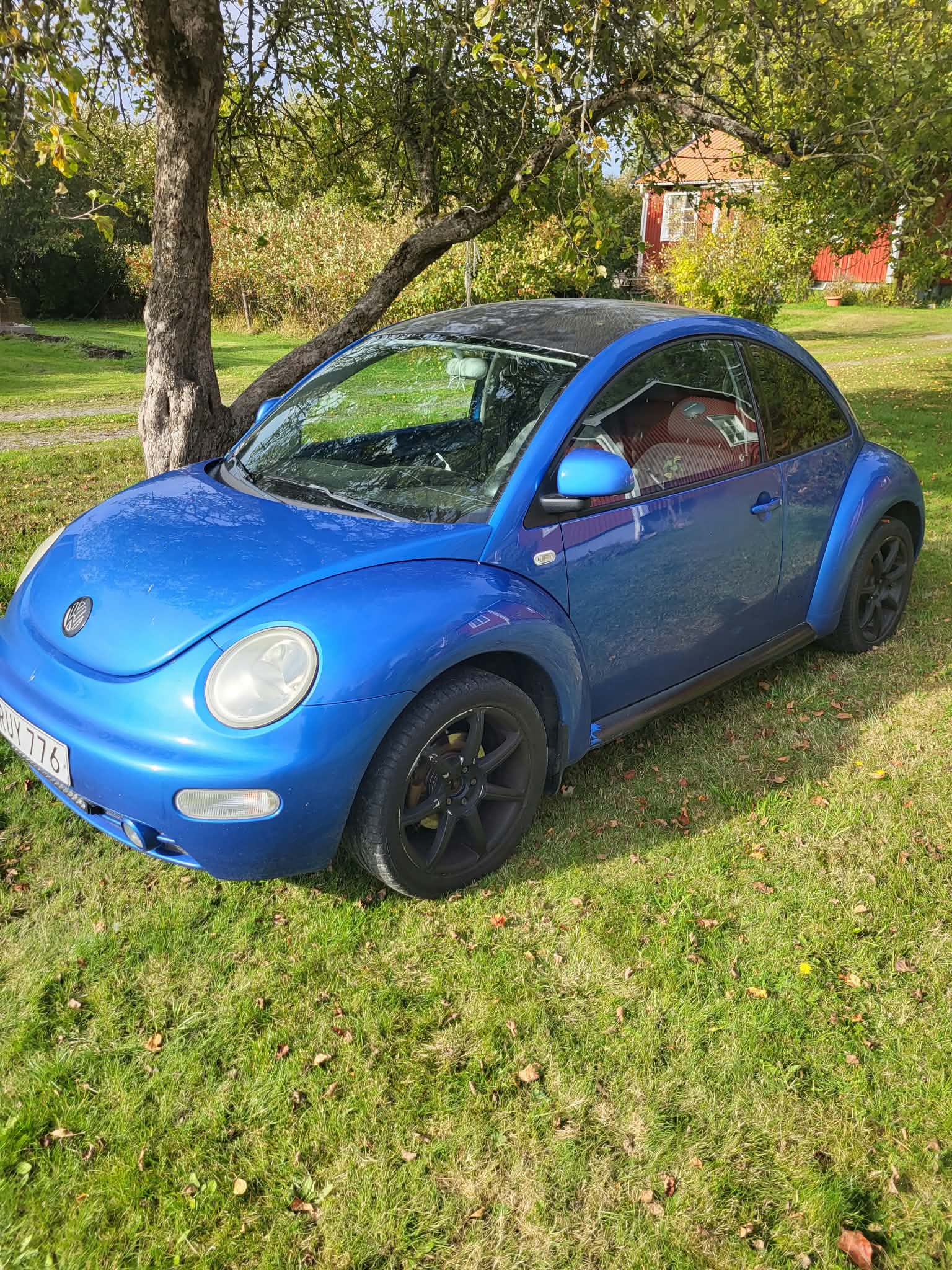 Volkswagen New Beetle 1.6 Manuell 2000, bild 6/8