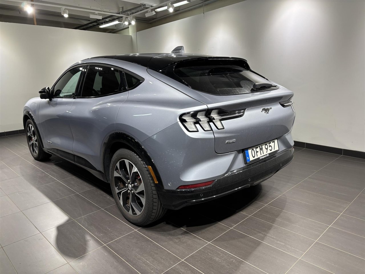 Ford Mustang Mach-E 2022, photo 2/2