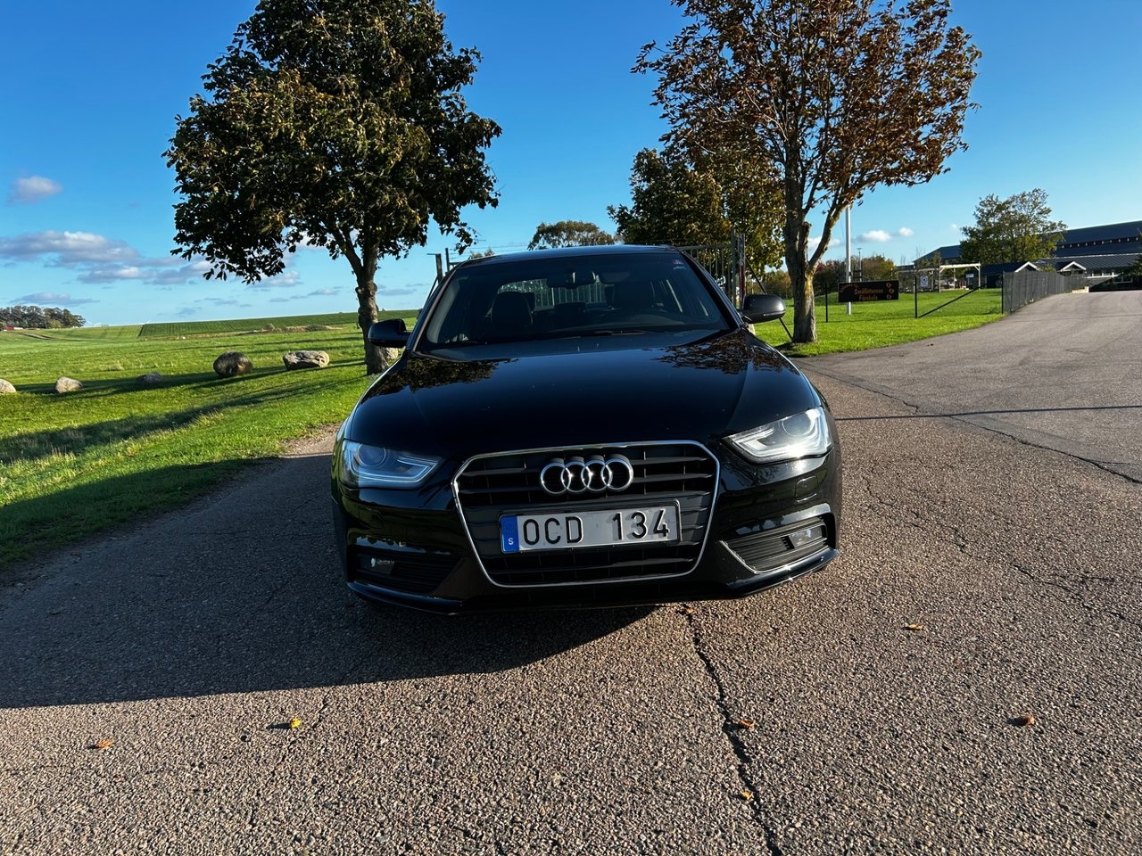 Audi A4 Sedan 2.0 TDI DPF Base Euro 5 2014, bild 8/8