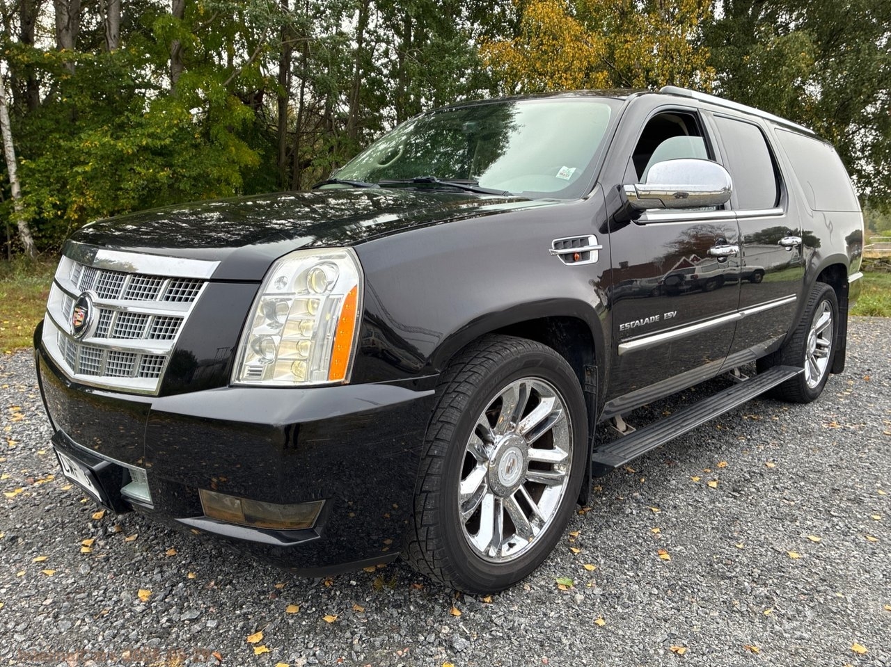 Cadillac Escalade ESV Platinum 2010, bild 2/10