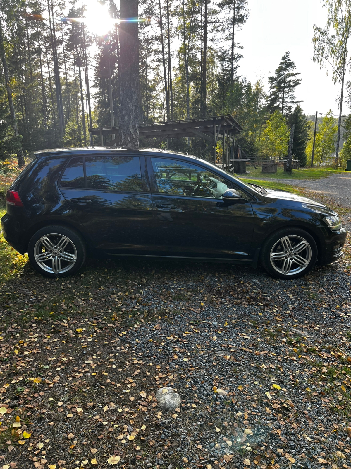 Volkswagen Golf VII 1.6 TDI Manual 110hp 2016, bild 3/7