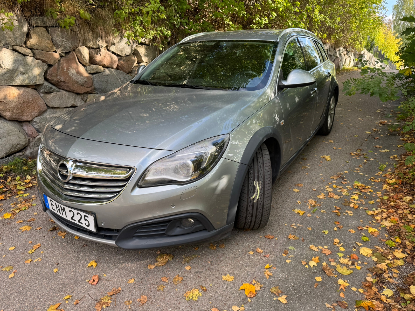 Opel Insignia 2014, bild 2/10
