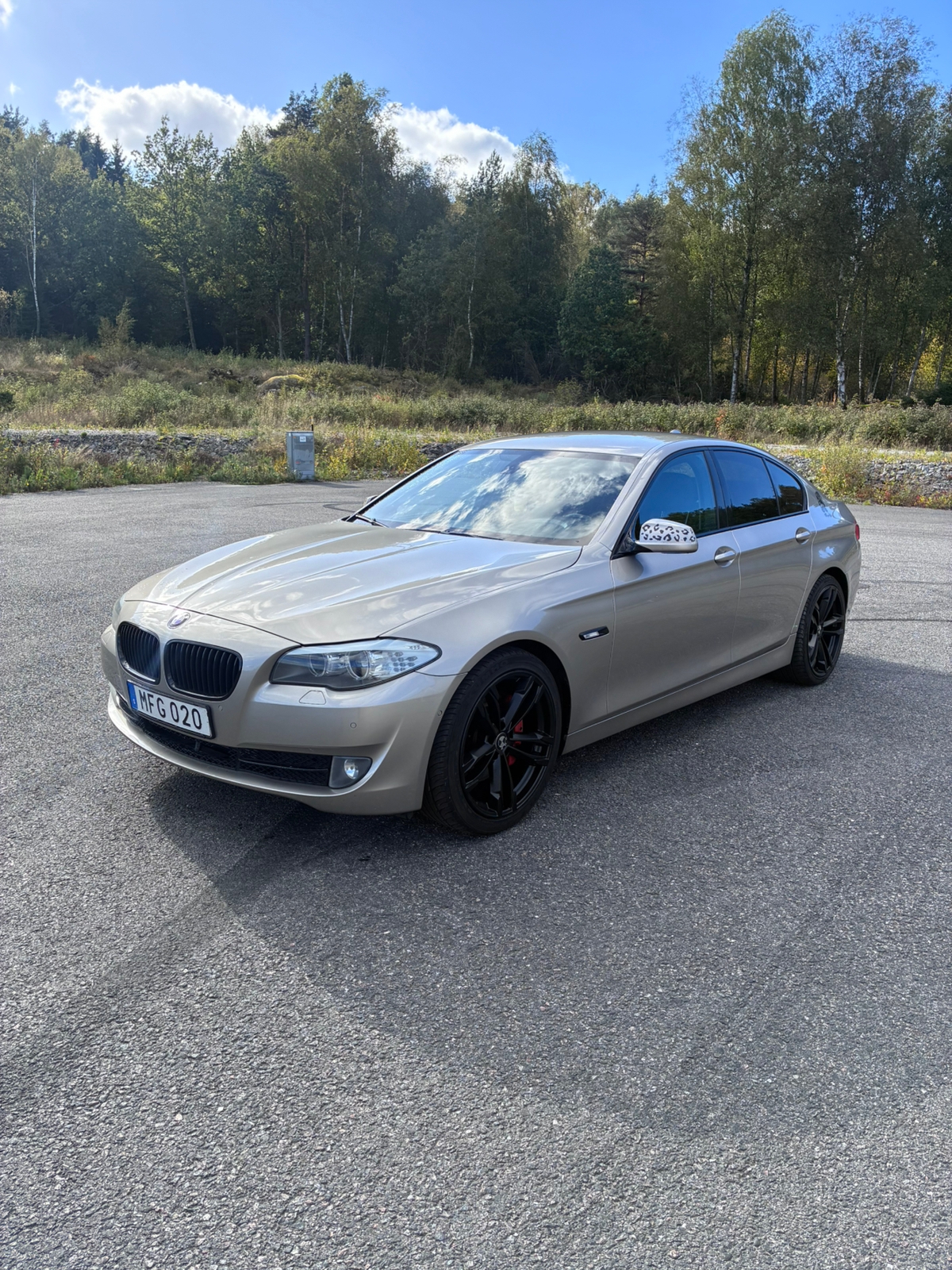 BMW 525 d rwd 2012, bild 3/6