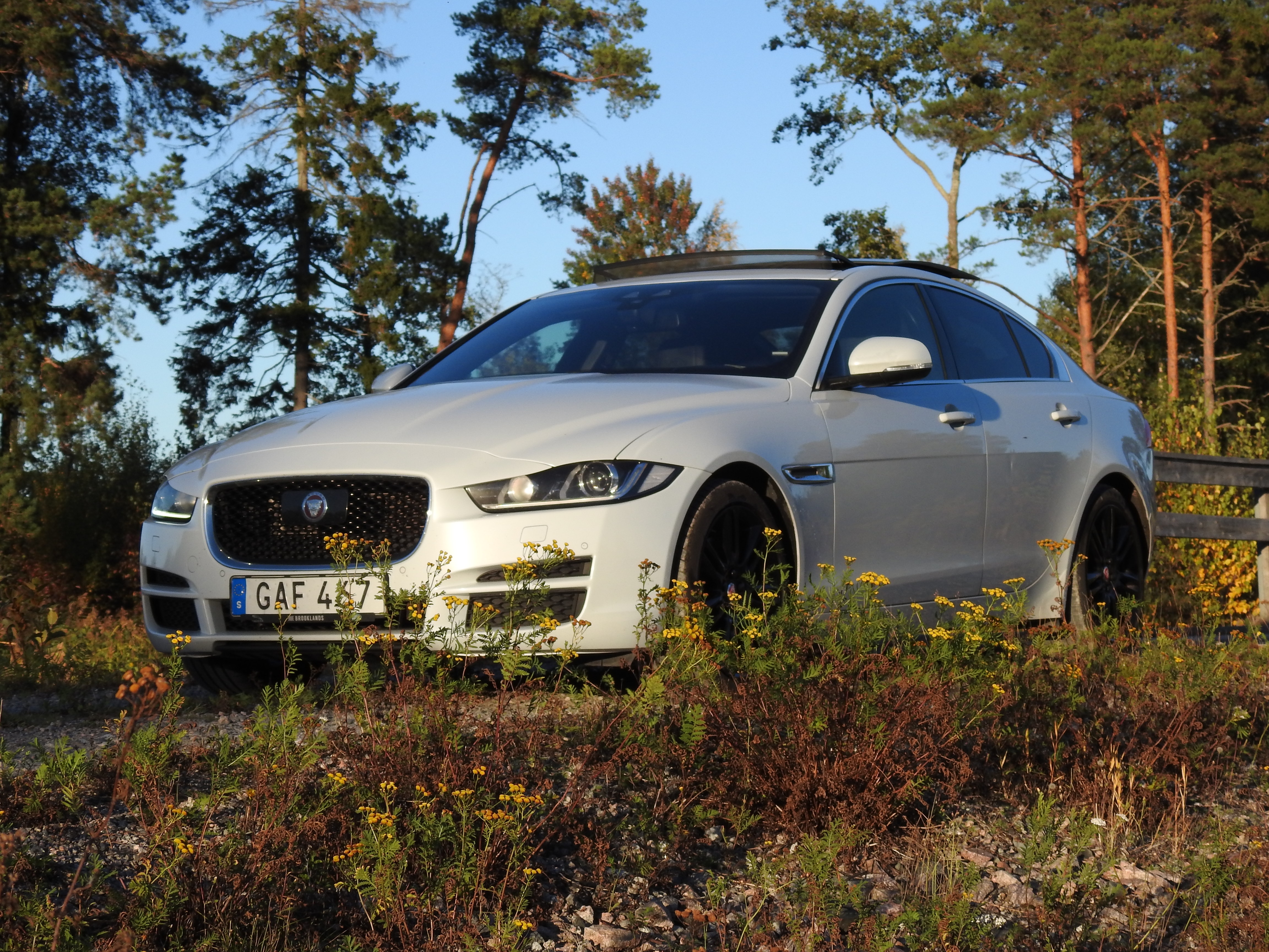 Jaguar XE 2016, bild 2/10