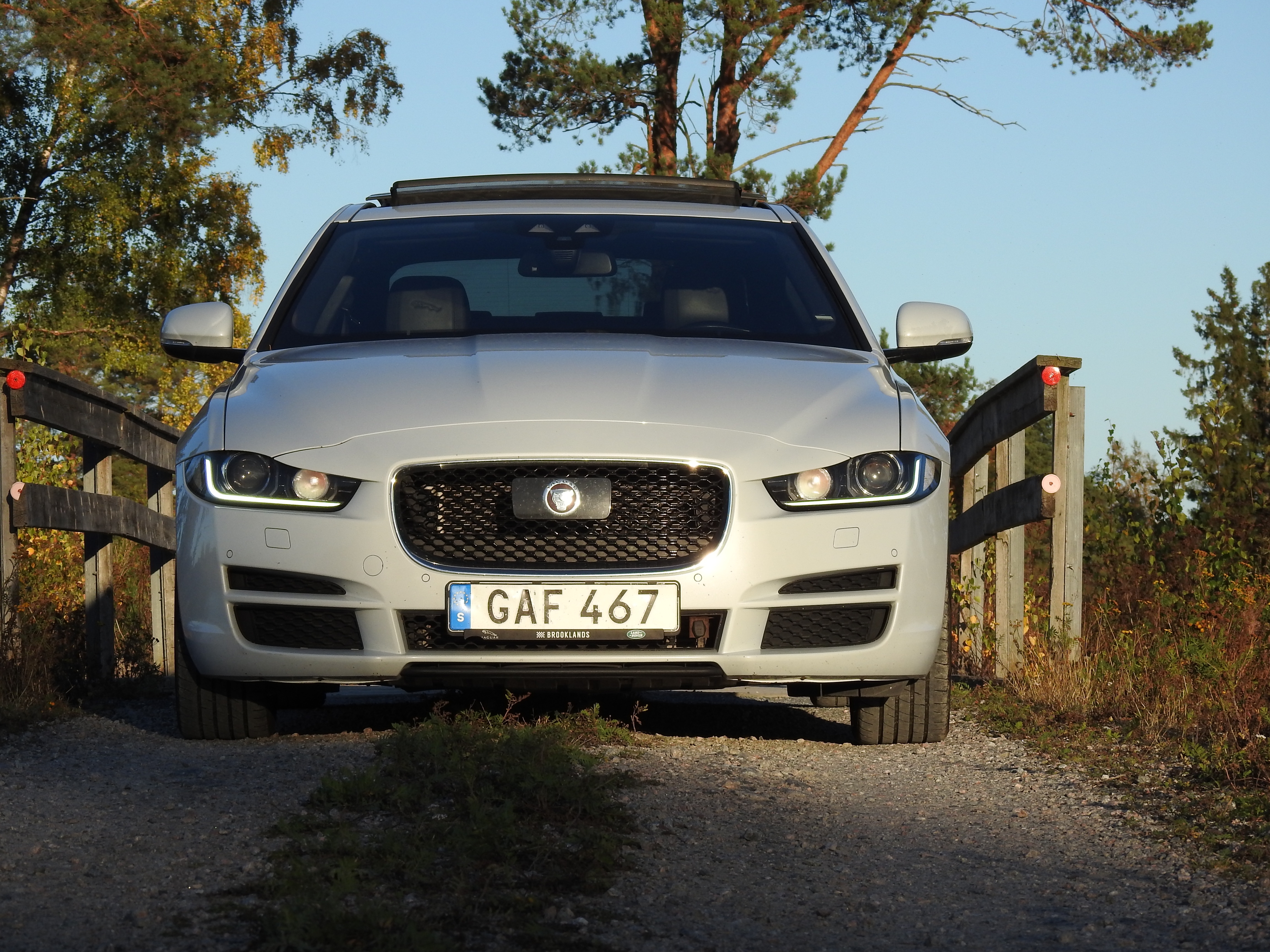 Jaguar XE 2016, bild 4/10
