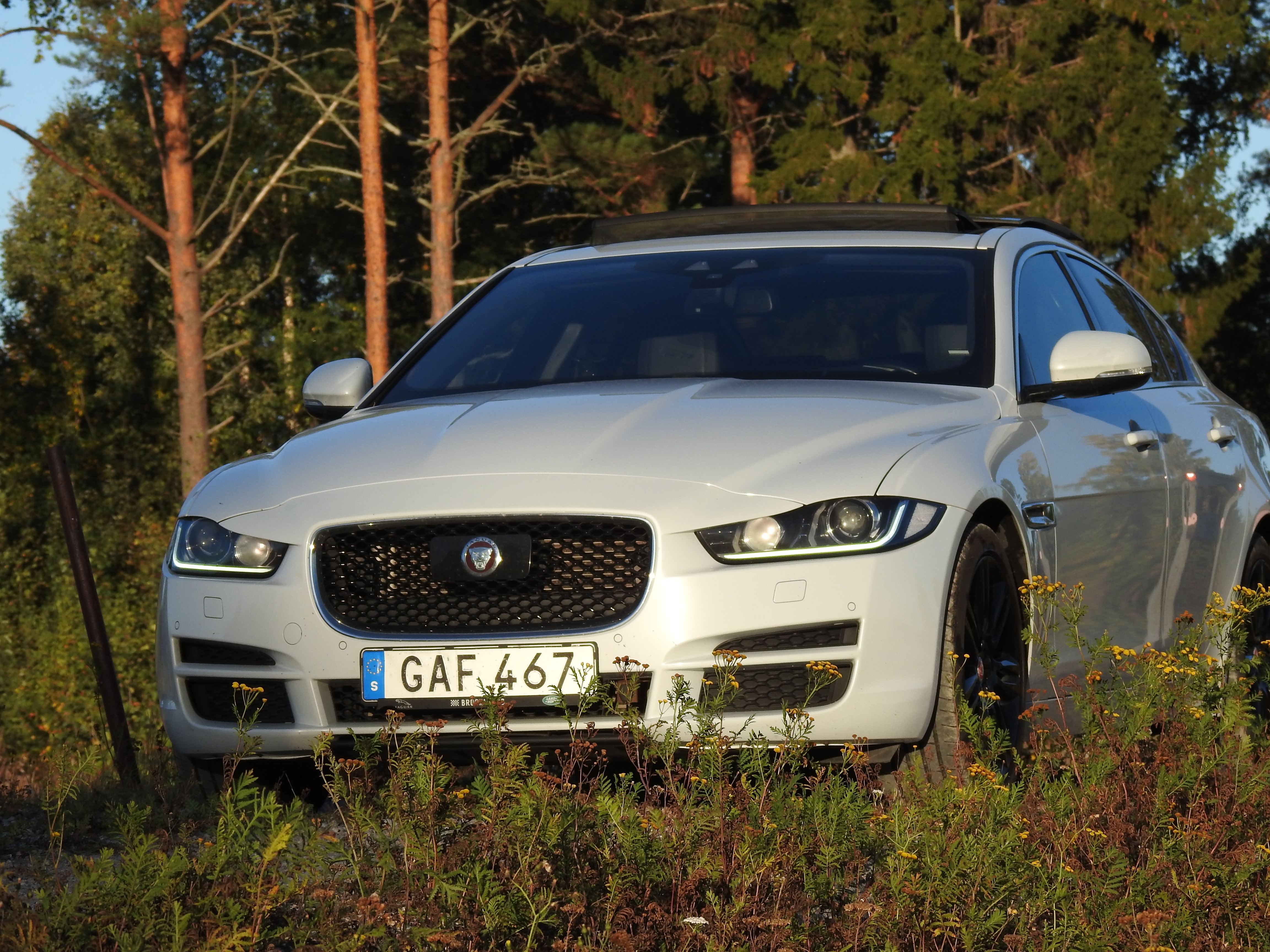 Jaguar XE 2016, bild 3/10