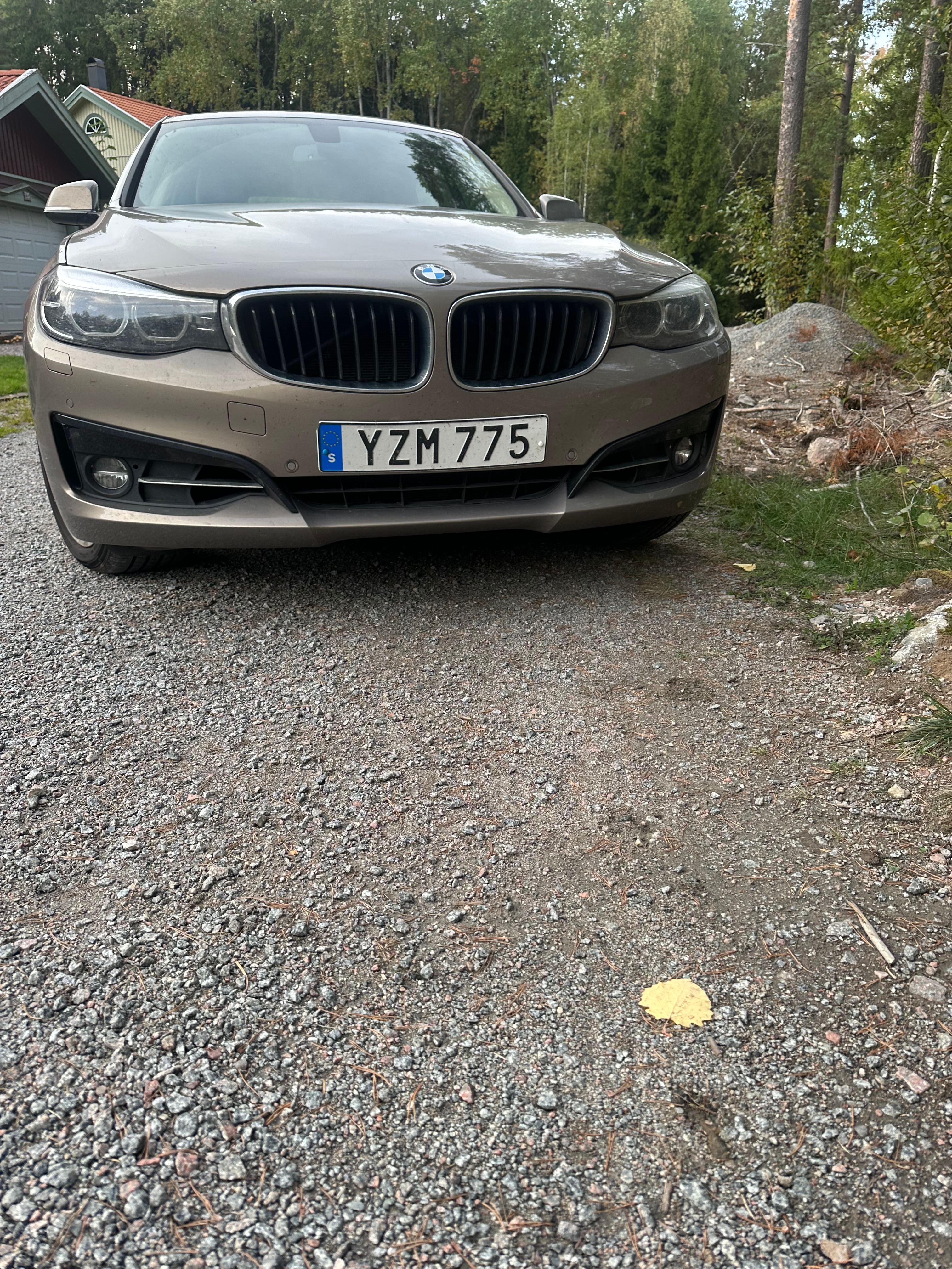 BMW 320 i Gran Turismo Steptronic 2018, photo 5/5