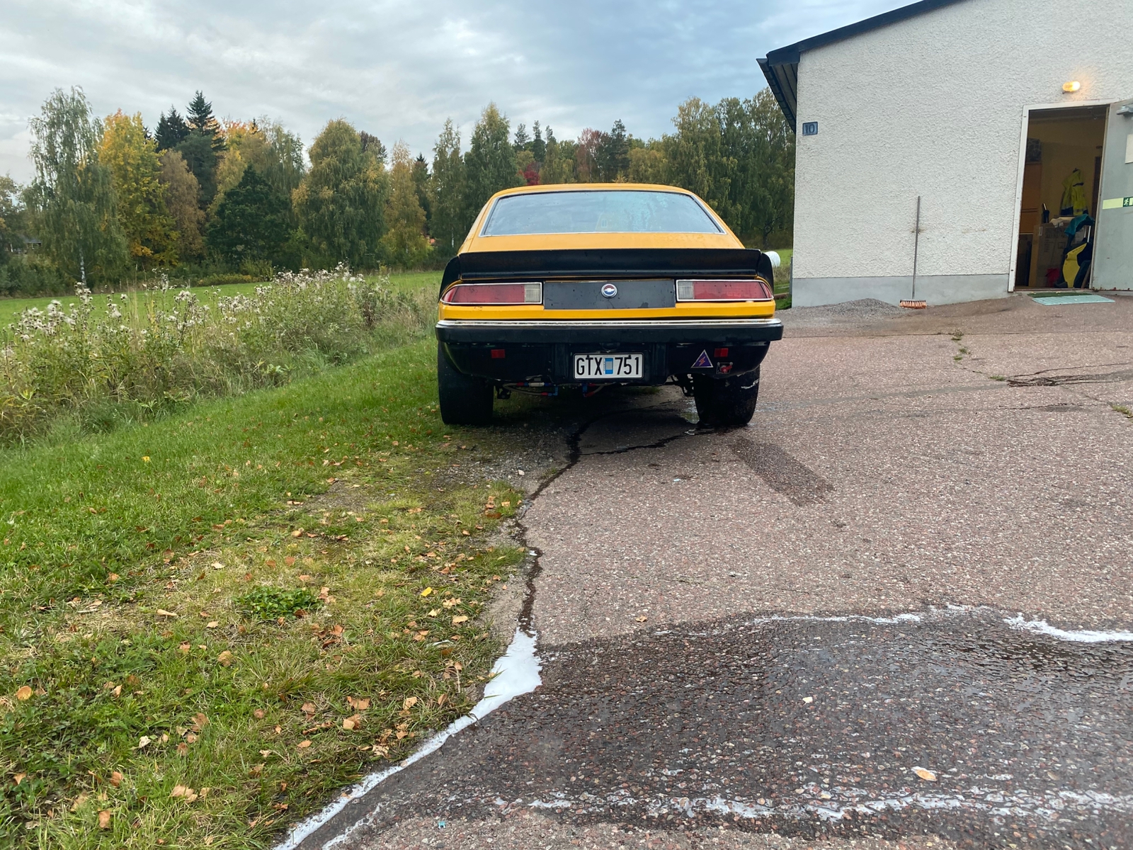 Chevrolet Monza 1975, bild 4/7