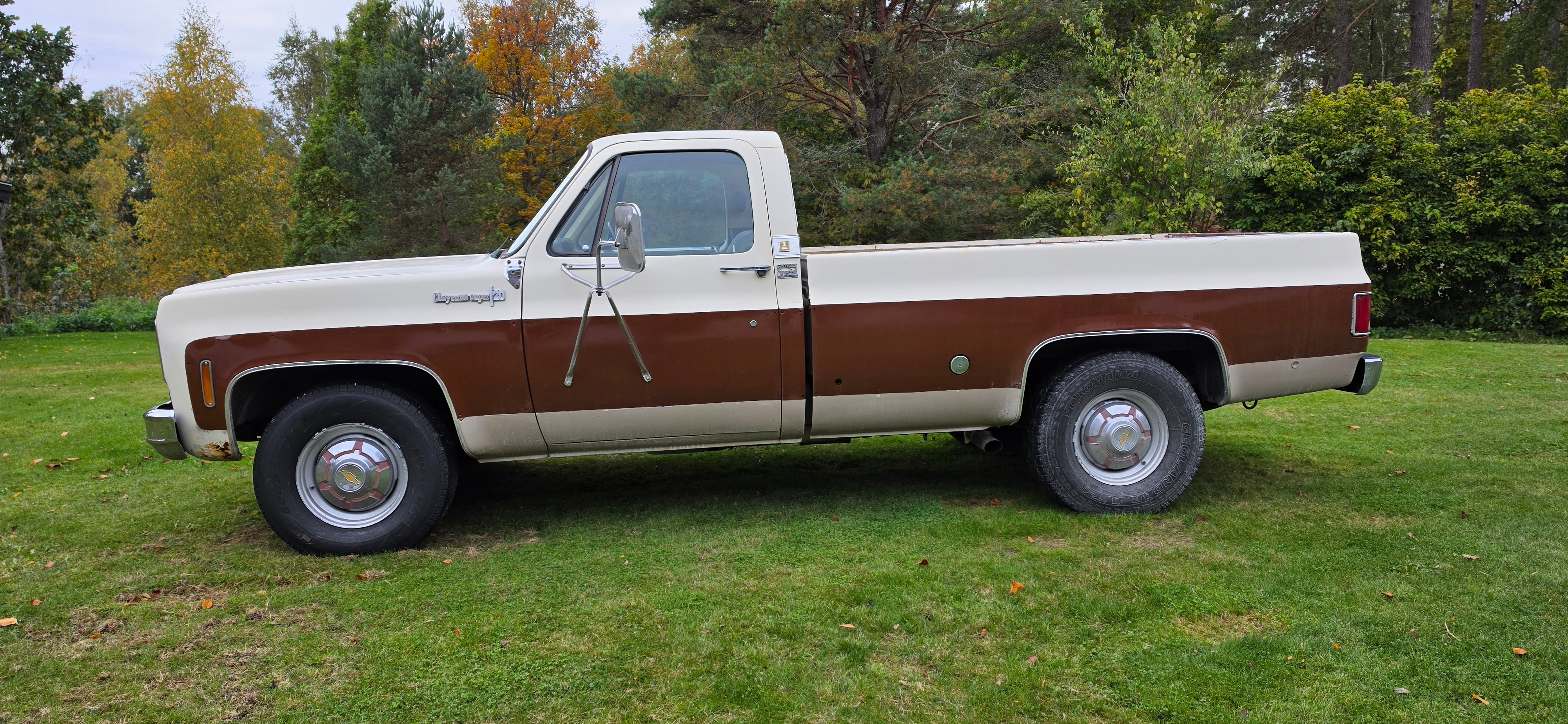 Chevrolet C20 1973, bild 3/7