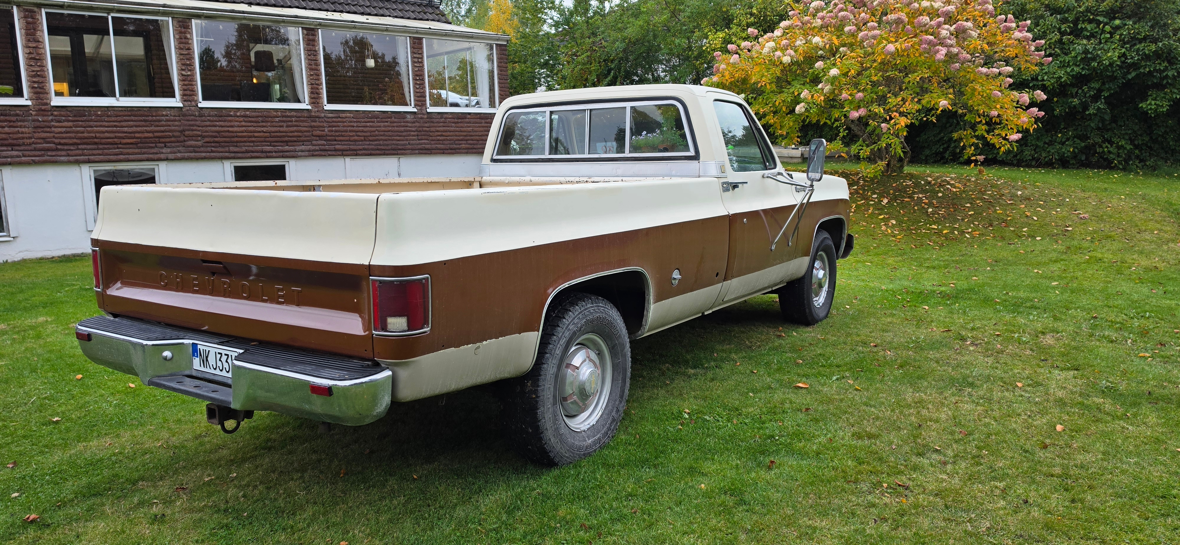 Chevrolet C20 1973, bild 5/7